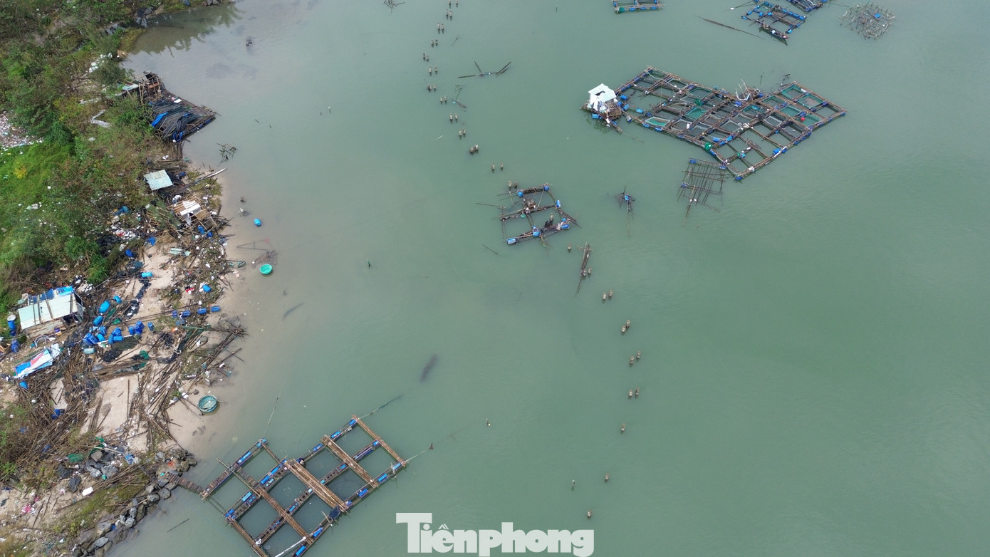 Trước mùa mưa bão, do đầu ra tiêu thụ cá nuôi trên địa bàn Lăng Cô gặp khó khăn, cá thu hoạch bán chậm nên lượng thủy sản nuôi ở các lồng bè còn tồn đọng nhiều. “Nhà cửa bị bão tàn phá, lồng nuôi rách nát, cá nuôi ở vùng nước mặn không chỉ bị thất thoát ra ngoài khi bị sóng đánh, mà số còn lại trong những khu lồng lành lặn không thể sống được do bị ngạt nước, sốc ngọt. Người nuôi cá chịu thiệt đơn, thiệt kép. Cá đã đến kỳ thu hoạch nhưng giờ không còn gì nữa, mỗi lồng nuôi của gia đình tôi bị thiệt hại hơn 100 triệu đồng", ông Thọ than.