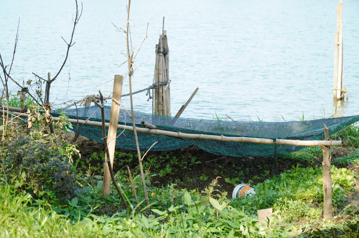 Người dân tăng gia sản xuất bên trong công viên.