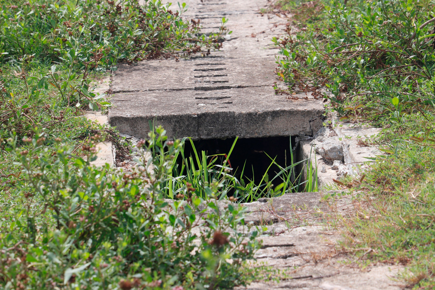 Mặt lát thuộc hệ thống thoát nước bao quanh mặt sân bị hỏng nát, tạo những hố sâu nguy hiểm. Đường bê tông bao quanh sân lu lấp cỏ dại.