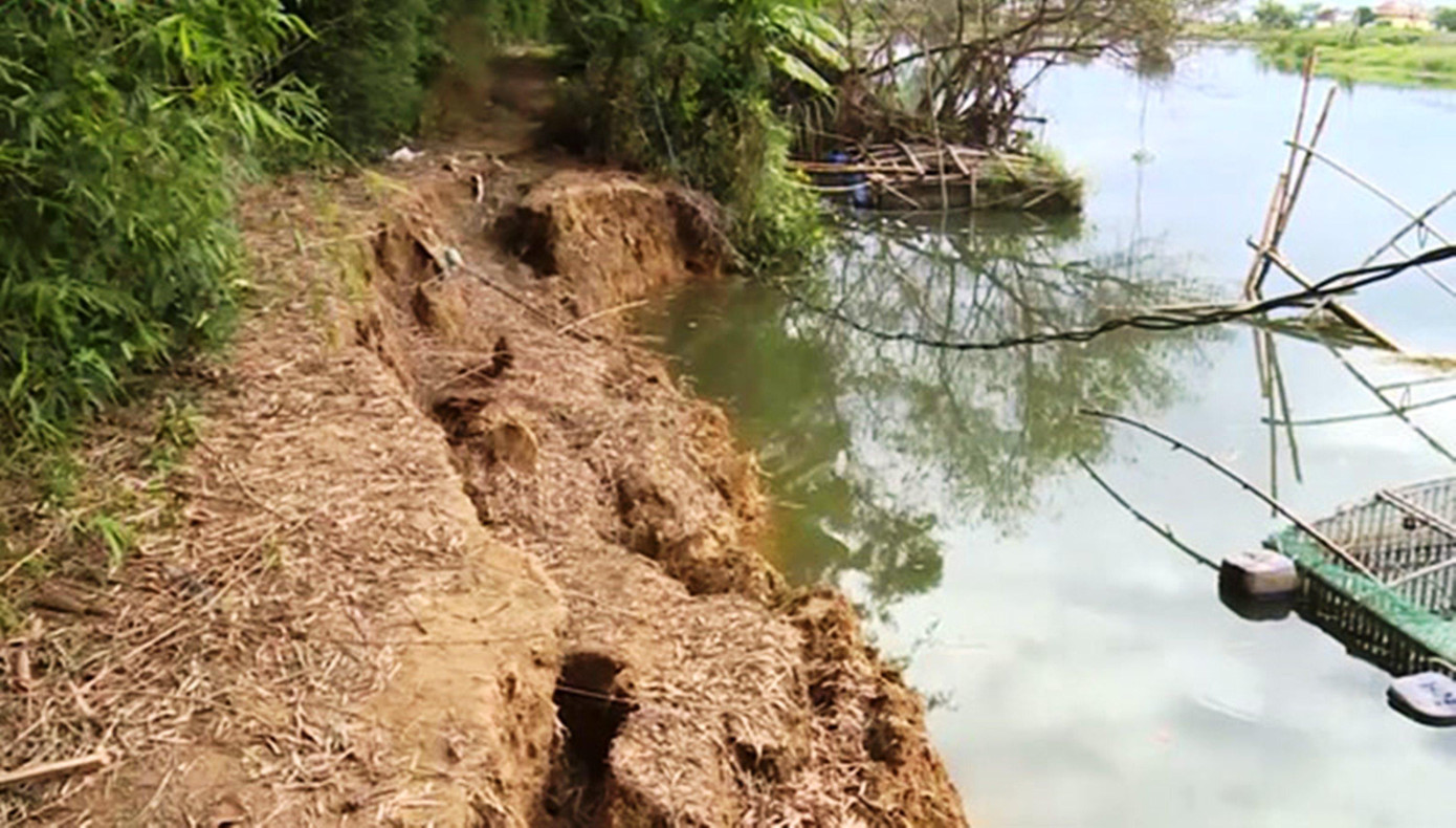 Tương tự, tuyến sông Bồ đoạn chảy qua nhiều phường, xã như Hương Vân, Hương Xuân (thị xã Hương Trà), Quảng Phú, Quảng An, Quảng Thành (huyện Quảng Điền) cũng xuất hiện nhiều điểm sạt lở có chiều dài hàng trăm mét, làm mất nhiều diện tích đất nông nghiệp. Đặc biệt, tình trạng sạt lở bờ sông Bồ tại khu vực thôn Hạ Lang và hói Cầu Kẽm (xã Quảng Phú) đã làm cuốn trôi nhiều bãi bồi, đất cát ven sông, cùng với hệ thống đường giao thông nông thôn bằng bê tông trên chiều dài gần 1km, gây khó khăn, nguy hiểm cho người dân đi lại. Ảnh: CTV Tương tự, tuyến sông Bồ đoạn chảy qua nhiều phường, xã như Hương Vân, Hương Xuân (thị xã Hương Trà), Quảng Phú, Quảng An, Quảng Thành (huyện Quảng Điền) cũng xuất hiện nhiều điểm sạt lở có chiều dài hàng trăm mét, làm mất nhiều diện tích đất nông nghiệp. Đặc biệt, tình trạng sạt lở bờ sông Bồ tại khu vực thôn Hạ Lang và hói Cầu Kẽm (xã Quảng Phú) đã làm cuốn trôi nhiều bãi bồi, đất cát ven sông, cùng với hệ thống đường giao thông nông thôn bằng bê tông trên chiều dài gần 1km, gây khó khăn, nguy hiểm cho người dân đi lại. Ảnh: CTV