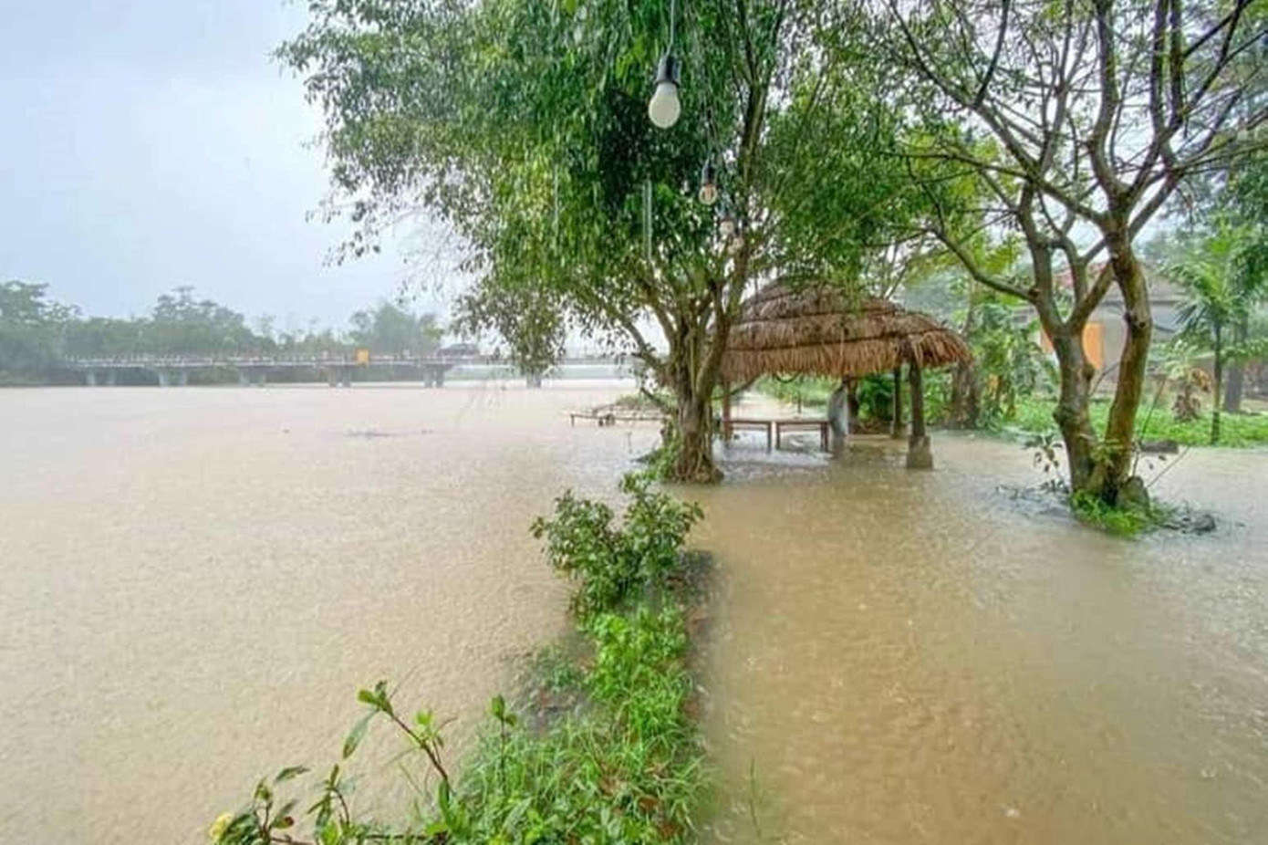 Sáng 2/4, Ban chỉ huy Phòng, chống thiên tai &amp; Tìm kiếm cứu nạn (PCTT&amp;TKCN) tỉnh TT-Huế cho biết, mưa lớn gây lũ trái mùa trên địa bàn hai ngày qua đã làm hơn 1.020 ha lúa, 1,5 ha màu bị ngập úng, với mức 10-30cm.