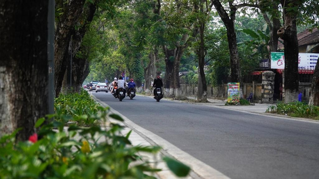 Nhưng cũng có giả thiết khác cho rằng, đường Đoàn Thị Điểm trong Kinh thành Huế ngày nay chính là “đường phượng bay” đã đi vào nhạc Trịnh.