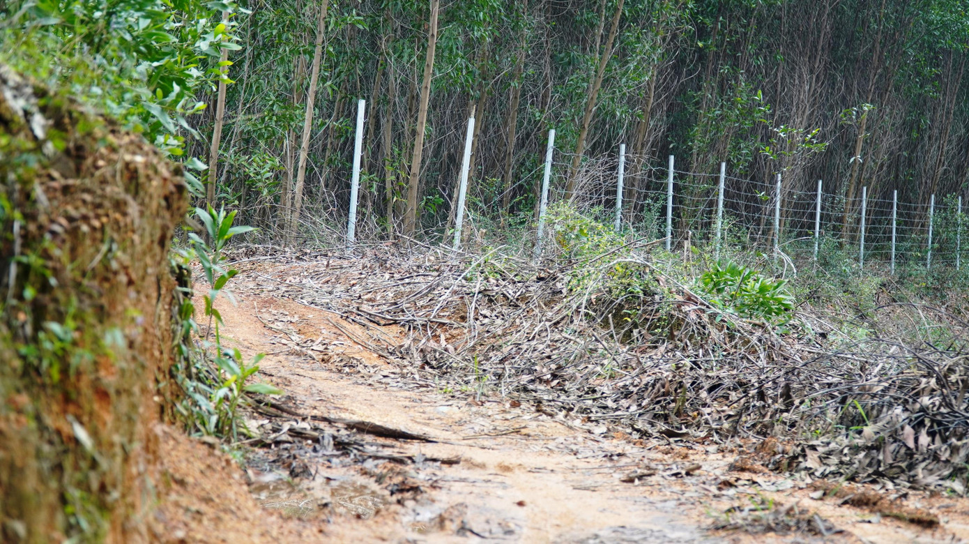 Theo dự kiến, tuyến cao tốc sẽ chính thức được đưa vào vận hành kể từ đầu năm 2022. Tuy nhiên, trên tuyến cao tốc này, các nhà thầu hiện vẫn chưa hoàn thiện lắp đặt hệ thống hàng rào kẽm gai bảo đảm an toàn giao thông.