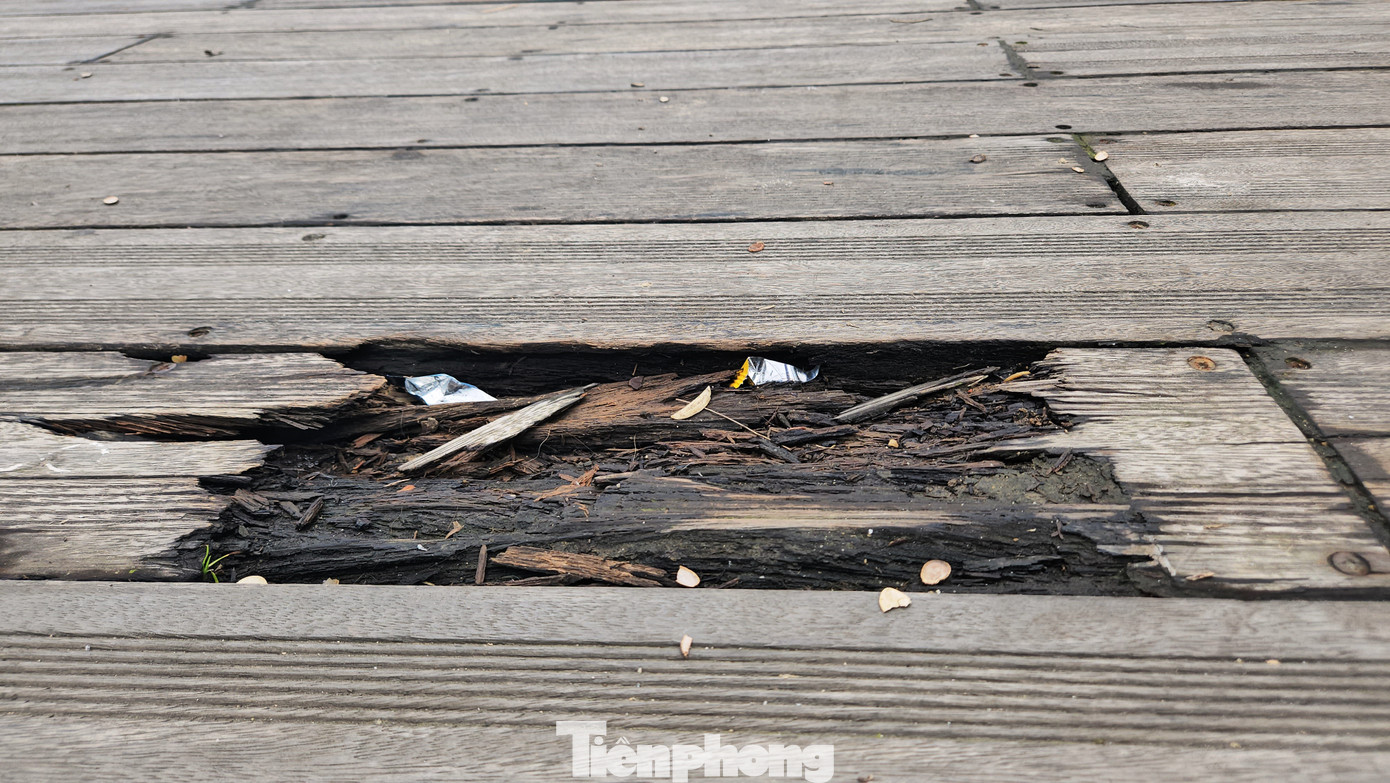 Những vị trí sàn gỗ lim bị mục hỏng, lún lõm tồn đọng cả rác thải, cỏ dại mọc lên tươi tốt nhưng không được dọn dẹp, nhổ bỏ... khiến nhiều người cho rằng, công tác chăm sóc, bảo dưỡng mặt cầu của đơn vị quản lý công trình phục vụ du lịch chưa được quan tâm đúng mức.