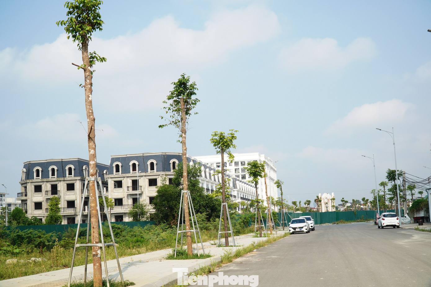 Trong khi, tại các tuyến phố mới khác ở TP. Huế không thuộc dự án Green City, cây xanh mới trồng lại có tỷ lệ sống rất cao. Như tại đoạn cuối đường Nguyễn Lộ Trạch (phường Xuân Phú) thuộc dự án đô thị cao cấp Phú Xuân City, với loài cây sao đen. Từ thực tế này, nhiều người cho rằng, giống cây dầu rái trồng hàng loạt tại dự án Green City bị chết có thể do không phù hợp thổ nhưỡng, trồng trái thời điểm, hoặc giống kém chất lượng. Trong khi, tại các tuyến phố mới khác ở TP. Huế không thuộc dự án Green City, cây xanh mới trồng lại có tỷ lệ sống rất cao. Như tại đoạn cuối đường Nguyễn Lộ Trạch (phường Xuân Phú) thuộc dự án đô thị cao cấp Phú Xuân City, với loài cây sao đen. Từ thực tế này, nhiều người cho rằng, giống cây dầu rái trồng hàng loạt tại dự án Green City bị chết có thể do không phù hợp thổ nhưỡng, trồng trái thời điểm, hoặc giống kém chất lượng.