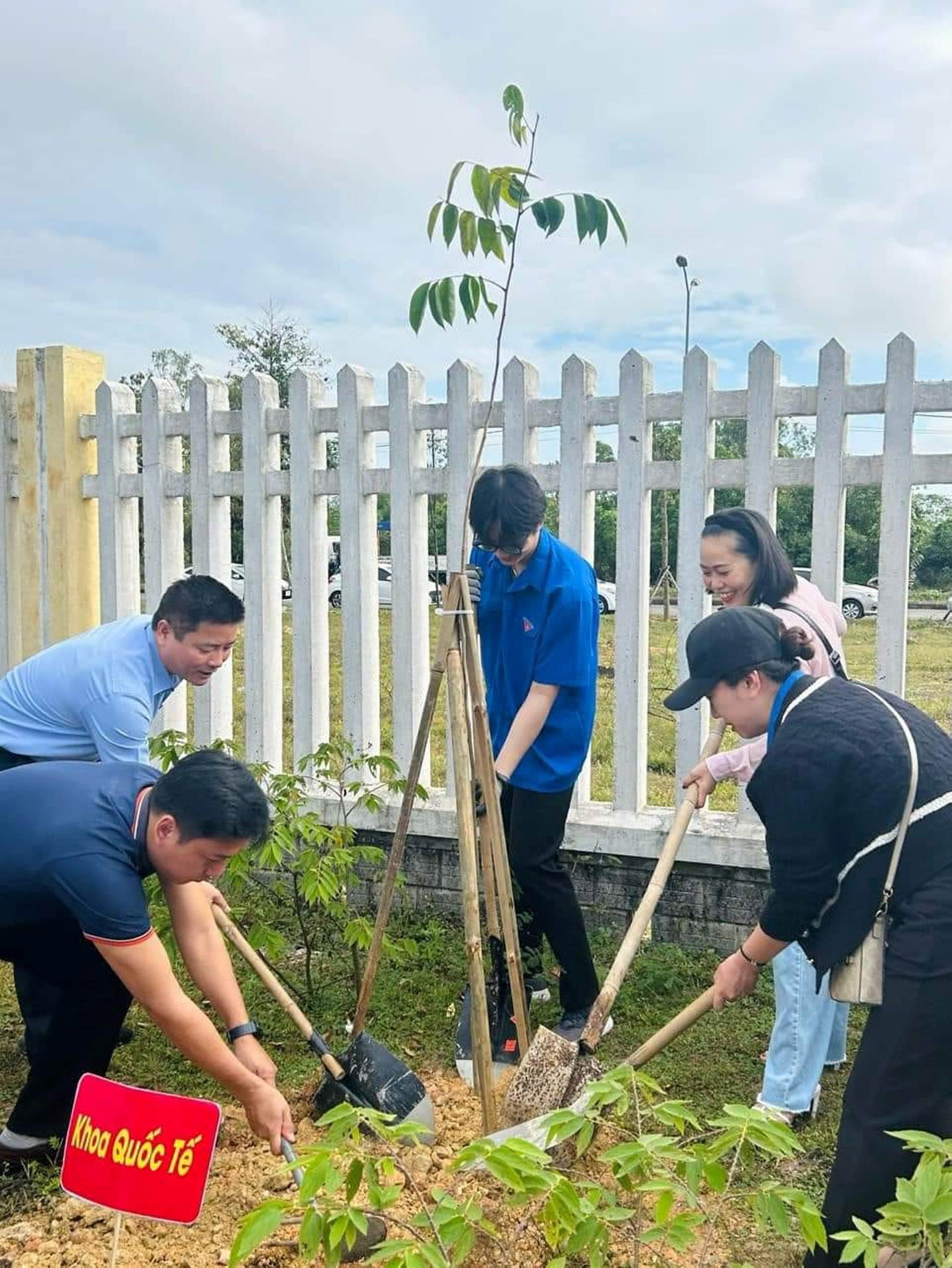 1.000 cây xanh sẽ được trồng tại các cơ sở giáo dục và đào tạo thuộc ĐH Huế đóng tại TP. Huế và tỉnh Quảng Trị. 1.000 cây xanh sẽ được trồng tại các cơ sở giáo dục và đào tạo thuộc ĐH Huế đóng tại TP. Huế và tỉnh Quảng Trị.