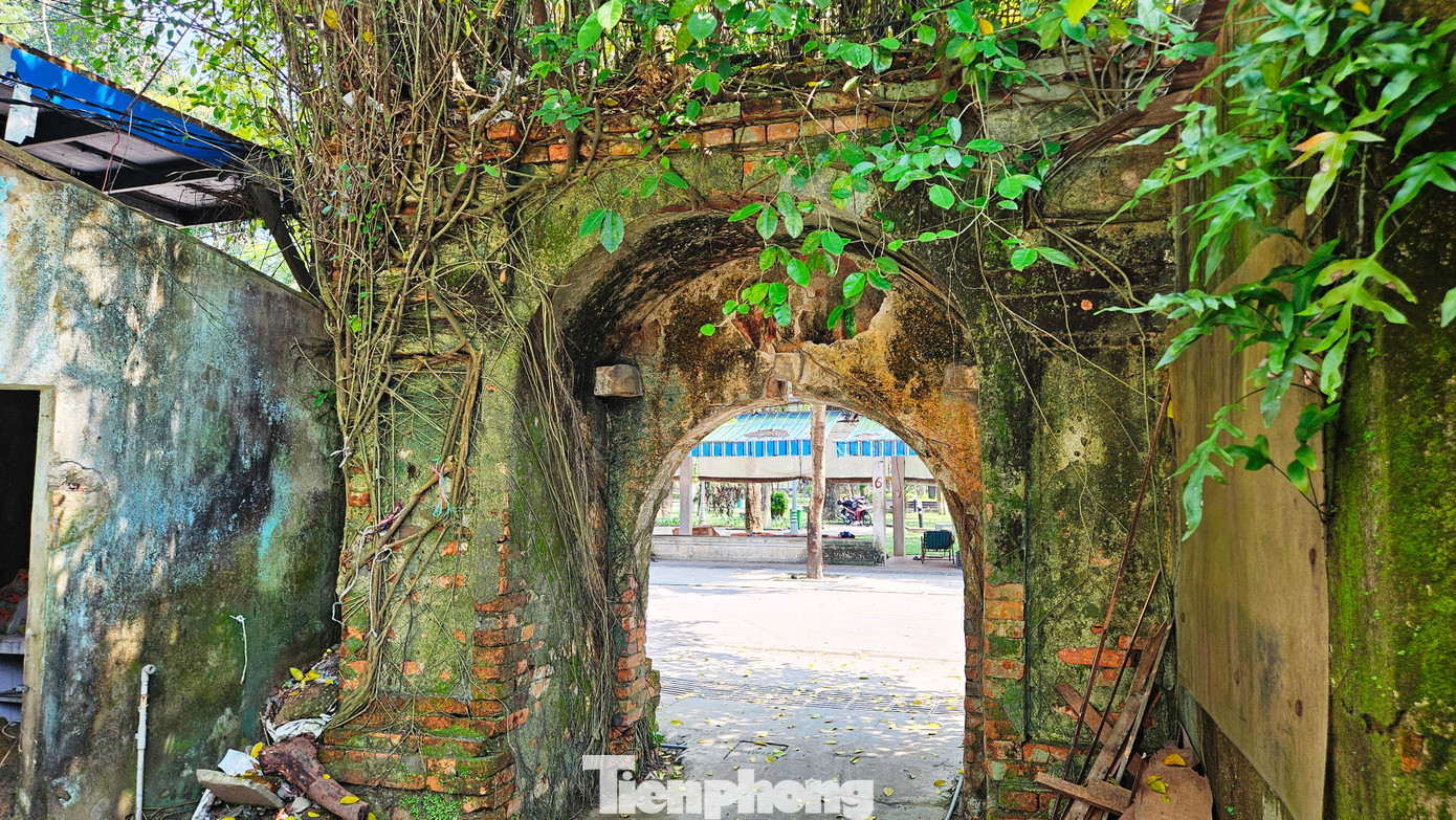 Những mảng tường loang lổ, bị thời gian bào mòn như kể lại câu chuyện về một thời kỳ vàng son nay chỉ còn là ký ức, quá vãng. Những cánh cổng vỡ nát như đang chờ đợi một sự kết nối giữa hiện tại và quá khứ, khôi phục lại nét vàng son xưa. Những mảng tường loang lổ, bị thời gian bào mòn như kể lại câu chuyện về một thời kỳ vàng son nay chỉ còn là ký ức, quá vãng. Những cánh cổng vỡ nát như đang chờ đợi một sự kết nối giữa hiện tại và quá khứ, khôi phục lại nét vàng son xưa.