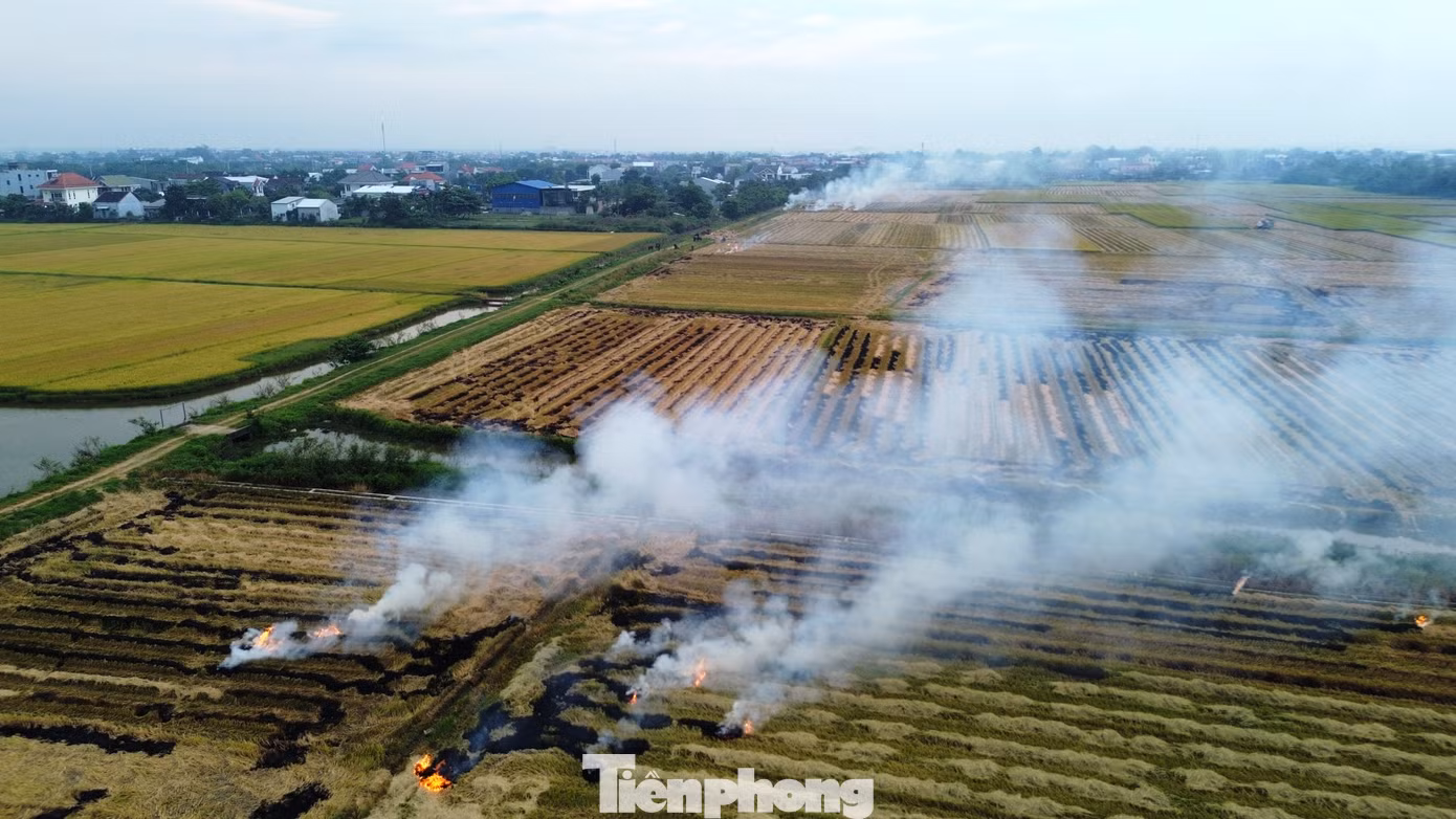 Nhằm giảm thiểu tác hại do vấn nạn đốt rơm rạ gây ra, cơ quan chức năng TP Huế khuyến cáo người dân nên tái sử dụng rơm rạ sau thu hoạch để trồng nấm rơm, ủ rơm làm thức ăn cho gia súc, ủ phân hữu cơ, che phủ đất trồng trọt…, góp phần giảm thiểu ô nhiễm môi trường. Khi phát hiện tình trạng đốt rơm rạ, người dân cần gửi phản ánh qua ứng dụng Hue-S hoặc liên hệ trực tiếp qua tổng đài 19001075 để được xử lý kịp thời. Nhằm giảm thiểu tác hại do vấn nạn đốt rơm rạ gây ra, cơ quan chức năng TP Huế khuyến cáo người dân nên tái sử dụng rơm rạ sau thu hoạch để trồng nấm rơm, ủ rơm làm thức ăn cho gia súc, ủ phân hữu cơ, che phủ đất trồng trọt…, góp phần giảm thiểu ô nhiễm môi trường. Khi phát hiện tình trạng đốt rơm rạ, người dân cần gửi phản ánh qua ứng dụng Hue-S hoặc liên hệ trực tiếp qua tổng đài 19001075 để được xử lý kịp thời.