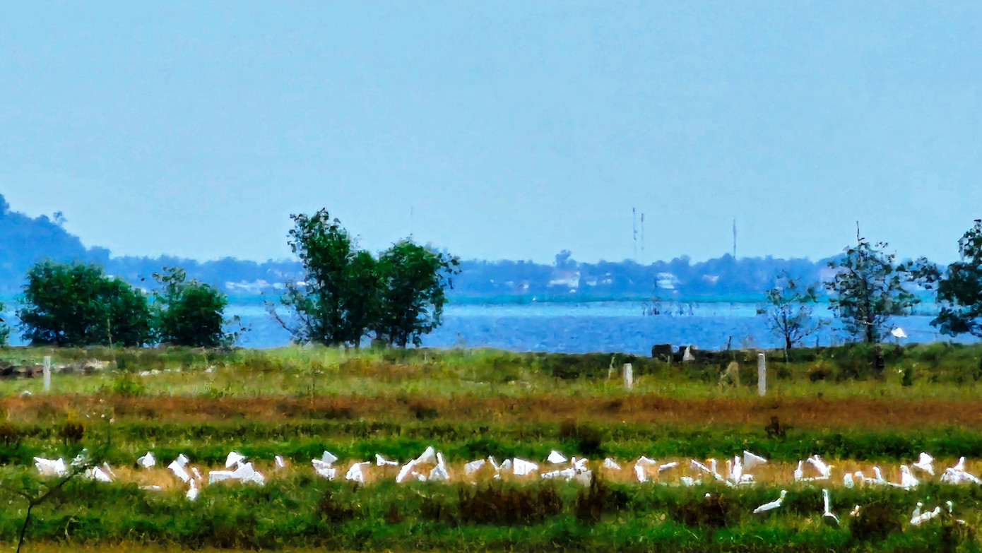 Sự việc diễn ra gần trụ sở chính quyền địa phương, cạnh hệ thống giao thông liên xã nhưng không được phát hiện kịp thời. Sự việc diễn ra gần trụ sở chính quyền địa phương, cạnh hệ thống giao thông liên xã nhưng không được phát hiện kịp thời.