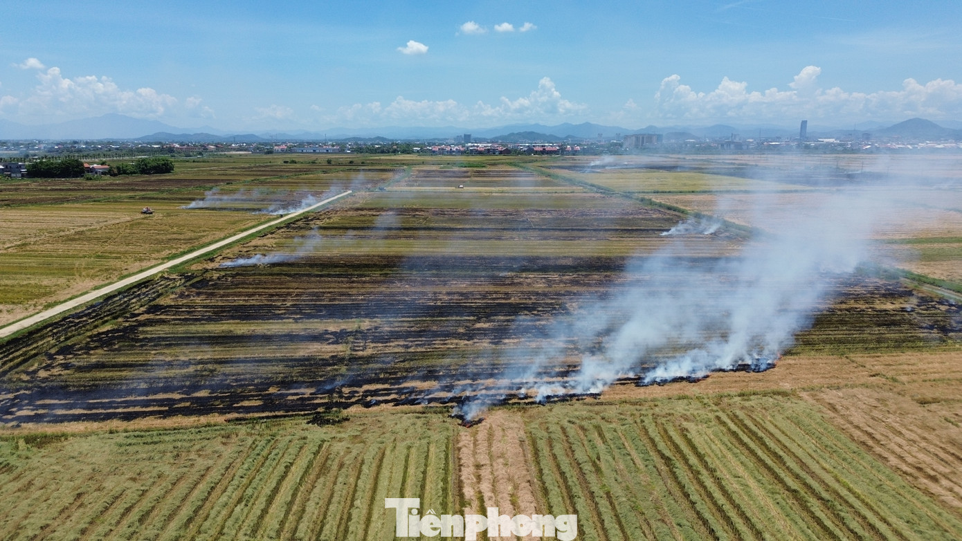 Chủ tịch UBND các huyện, thị xã, thành phố tại TT-Huế phải chịu trách nhiệm trước Chủ tịch UBND tỉnh trong việc để người dân đốt rơm rạ sau thu hoạch.