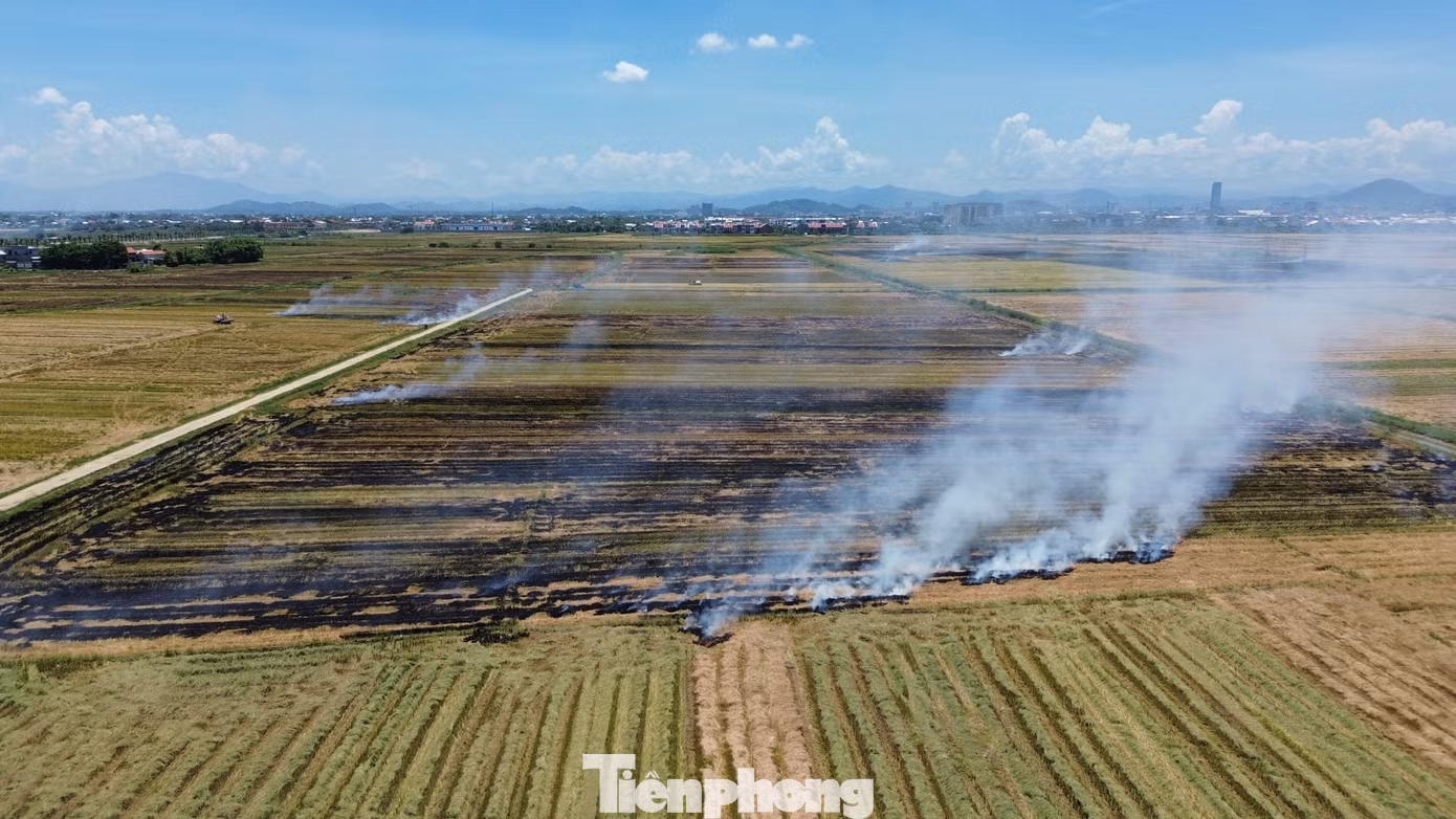 Chủ tịch UBND các huyện, thị xã, thành phố tại TT-Huế phải chịu trách nhiệm trước Chủ tịch UBND tỉnh trong việc để người dân đốt rơm rạ sau thu hoạch.