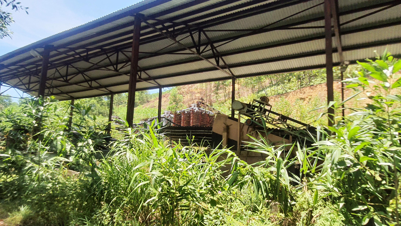 Nhà xưởng của Công ty Cổ phần Vật liệu và Công nghệ bị bỏ hoang nhiều năm, ngập trong cỏ dại, lau lách. Ảnh: N.V Nhà xưởng của Công ty Cổ phần Vật liệu và Công nghệ bị bỏ hoang nhiều năm, ngập trong cỏ dại, lau lách. Ảnh: N.V