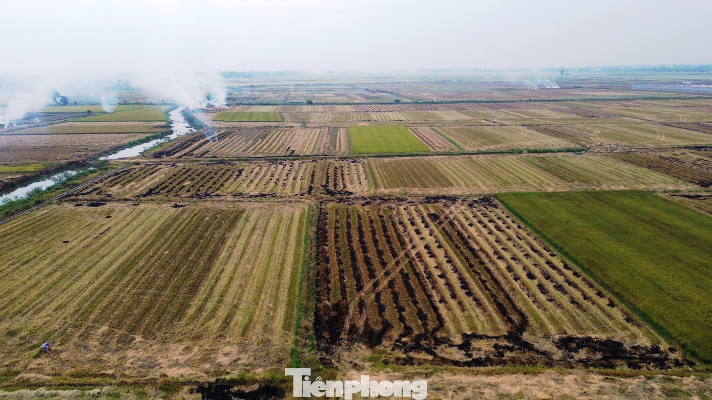 Trên nền tảng ứng dụng Hue-S thuộc Trung tâm Điều hành Đô thị thông minh Huế, cơ quan chức năng địa phương vừa phát đi cảnh báo về việc không đốt rơm rạ nhằm bảo vệ môi trường, đảm bảo an toàn giao thông. Theo thông tin cảnh báo, hiện nay, tình trạng đốt rơm rạ, phế phụ phẩm nông nghiệp sau thu hoạch vẫn còn xảy ra tại một số địa phương trên địa bàn thành phố, gây ô nhiễm không khí, mất mỹ quan và nguy hiểm cho người tham gia giao thông. Trên nền tảng ứng dụng Hue-S thuộc Trung tâm Điều hành Đô thị thông minh Huế, cơ quan chức năng địa phương vừa phát đi cảnh báo về việc không đốt rơm rạ nhằm bảo vệ môi trường, đảm bảo an toàn giao thông. Theo thông tin cảnh báo, hiện nay, tình trạng đốt rơm rạ, phế phụ phẩm nông nghiệp sau thu hoạch vẫn còn xảy ra tại một số địa phương trên địa bàn thành phố, gây ô nhiễm không khí, mất mỹ quan và nguy hiểm cho người tham gia giao thông.