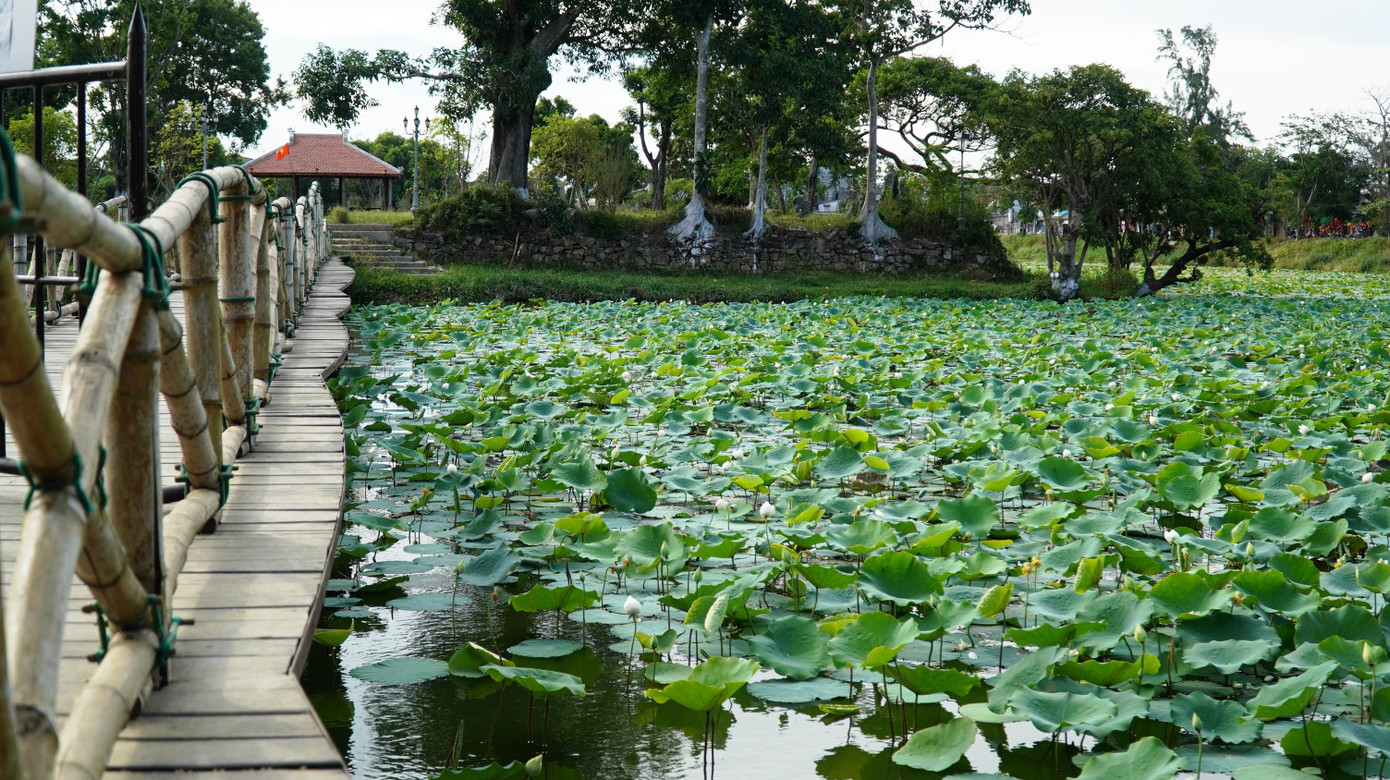 Một không gian xanh mướt nên thơ trữ tình, đúng nghĩa để du khách đến đây ngắm cảnh và "tịnh tâm" Ảnh: Ngọc Văn