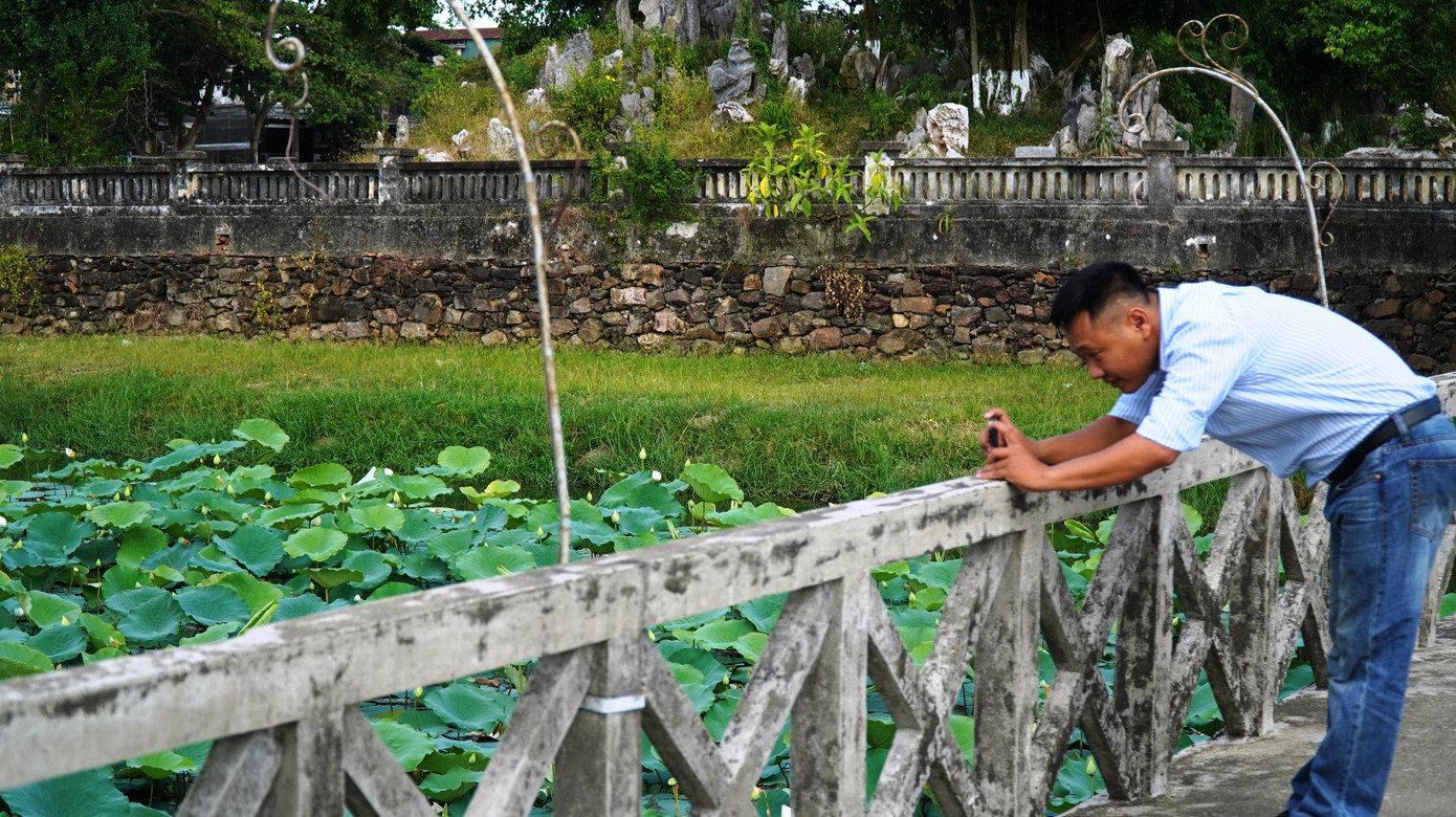Du khách tìm đến với sen hồ Tịnh Tâm Ảnh: Ngọc Văn