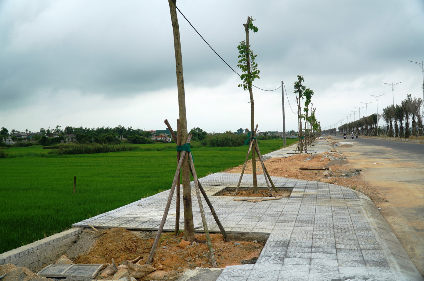 Nguyên nhân điều chỉnh tổng mức đầu tư chủ yếu do dự án thực hiện trong thời gian dài nên có sự biến động về giá vật liệu, nhân công, máy thi công… Ngoài ra, dự án còn phải điều chỉnh tăng chi phí đền bù, giải phóng mặt bằng do áp dụng chính sách mới về đơn giá đền bù và chi phí dự phòng cho hạng mục cây xanh trên dải phân cách toàn tuyến. Nguyên nhân điều chỉnh tổng mức đầu tư chủ yếu do dự án thực hiện trong thời gian dài nên có sự biến động về giá vật liệu, nhân công, máy thi công… Ngoài ra, dự án còn phải điều chỉnh tăng chi phí đền bù, giải phóng mặt bằng do áp dụng chính sách mới về đơn giá đền bù và chi phí dự phòng cho hạng mục cây xanh trên dải phân cách toàn tuyến.