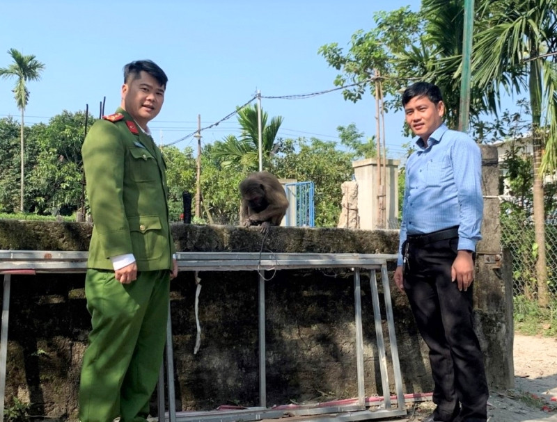Bàn giao khỉ mặt đỏ cho lực lượng công an. Ảnh: CACC