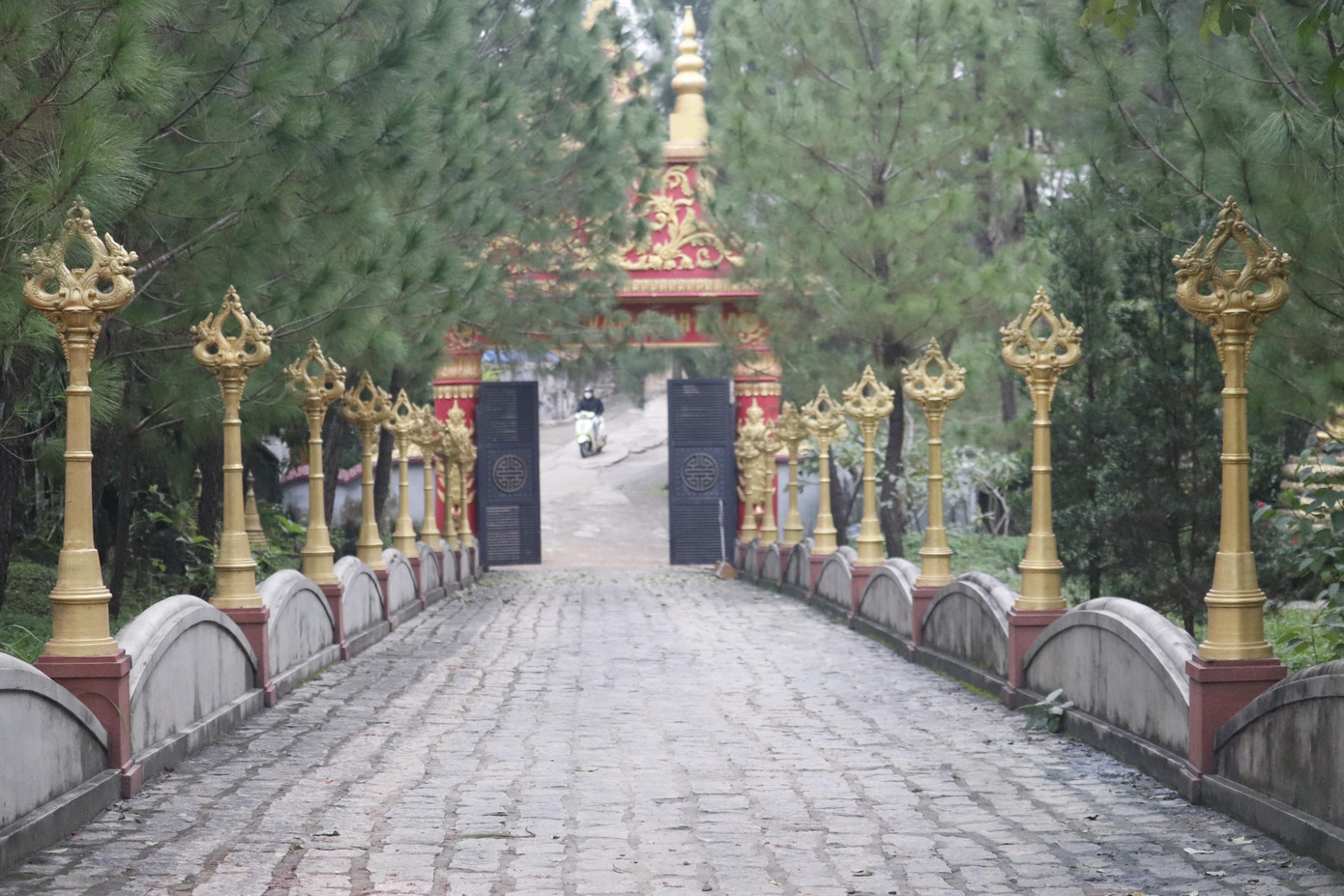 Không giống như những ngôi chùa Phật giáo Bắc Tông ở xứ Huế, chùa không có cổng tam quan dẫn vào vườn thiền. Sắc vàng là màu chủ đạo của chùa Thiền Lâm. Đây là nét rất riêng đầy sức lôi cuốn chỉ có tại chùa Thiền Lâm. Tham quan, vãn cảnh chùa, tín hữu, du khách như lạc vào chốn bình an, thanh tịnh.