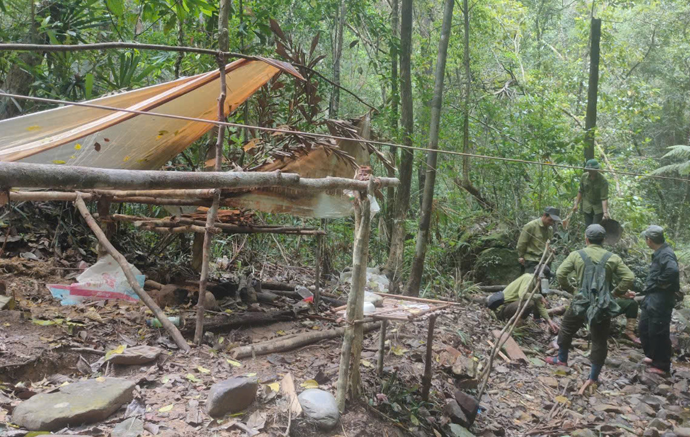 Kiểm lâm Vườn Quốc gia Bạch Mã còn phát hiện 3 khẩu súng tự chế được giấu trong rừng, tang vật đã được bàn giao cho công an địa phương tiếp nhận, xử lý.