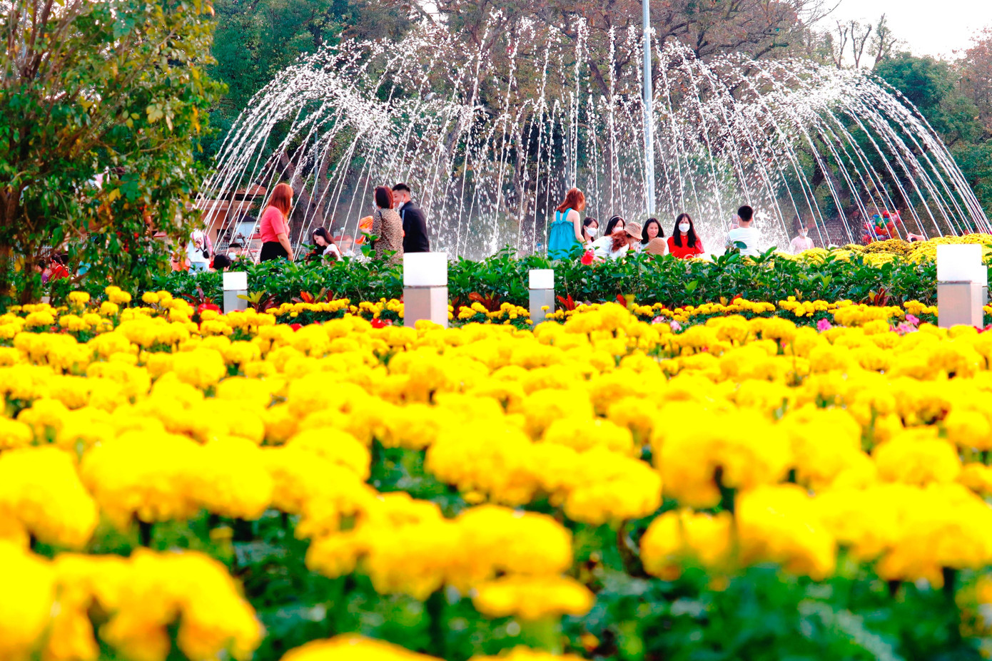 Đài phun nước nghệ thuật đối diện trụ sở UBND tỉnh Thừa Thiên Huế được "bao bọc" bởi những mảng hoa lá đầy màu sắc.