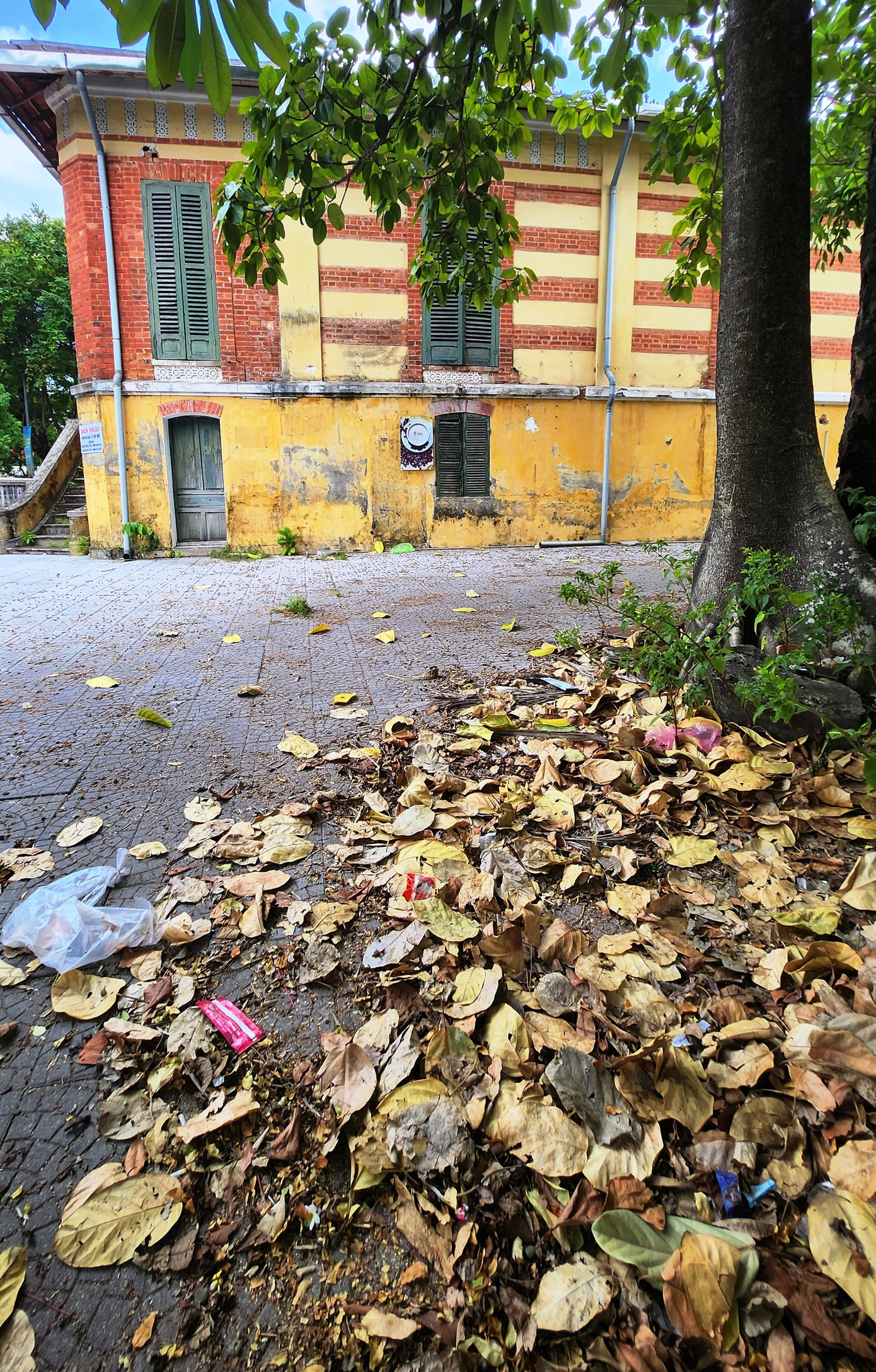 Ngôi nhà 26 Lê Lợi bị xuống cấp, xung quanh đầy lá khô, cỏ rác.