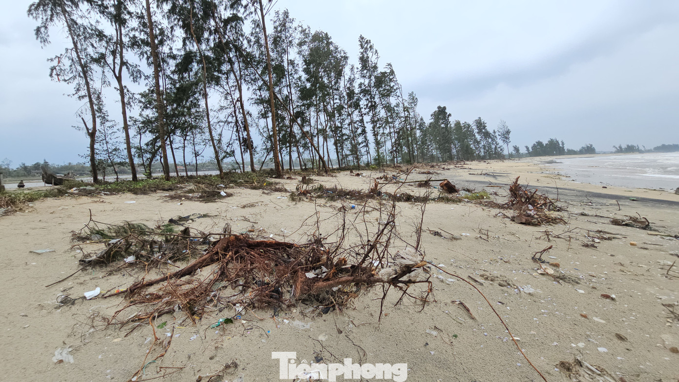“Xã Giang Hải hiện còn khoảng 1,5km bờ biển chưa có bờ kè cứng, vẫn xảy ra tình trạng sạt lở mỗi khi thiên tai, nên rất mong các cấp có thẩm quyền quan tâm đầu tư xây dựng các công trình bảo vệ bờ biển để bà con yên tâm sản xuất, sinh sống”, ông Nguyễn Hữu - Chủ tịch UBND xã Giang Hải, kiến nghị.