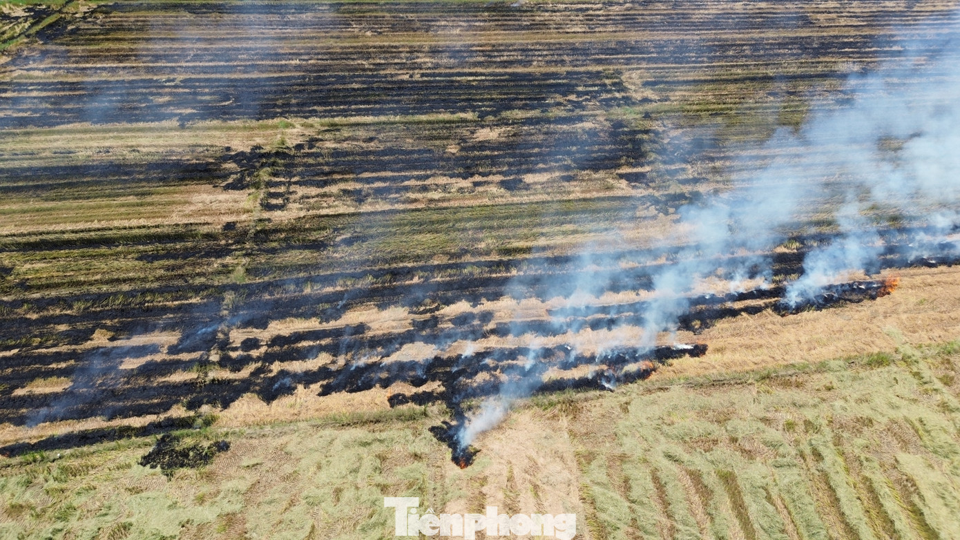 Còn đây là đám cháy khác nhìn từ trên cao do đốt đồng xảy ra cạnh tuyến đường mới Phú Mỹ - Thuận An đi qua huyện Phú Vang và TP. Huế. Rơm rạ bị đốt cháy đen trên một khoảnh đồng rộng lớn.