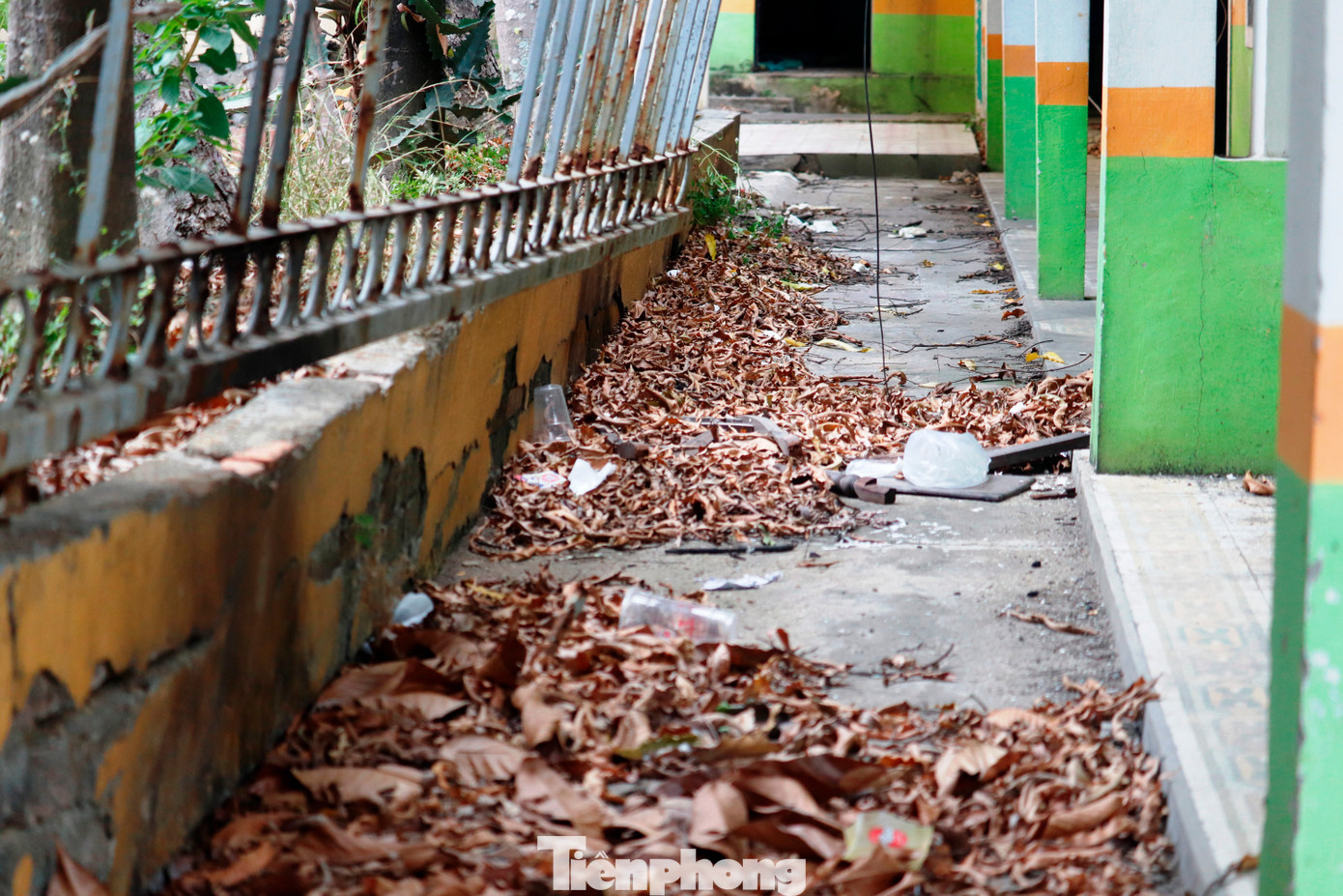 Các công trình, nhà cửa từng là trụ sở của các cơ quan, sở, ngành như Sở GD&amp;ĐT, Sở Y tế, Khoa học và Công nghệ, Chi cục Dân số… ngày càng trở nên hoang phế, xuống cấp.