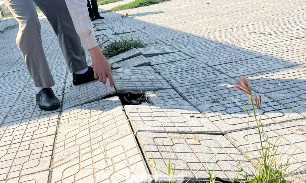 Mới đây, sau khi đưa vào sử dụng, tại cảng cá Thuận An xuất hiện nhiều sự cố, sụt lún nền, bong tróc mặt sân, hư hỏng một số hạng mục, cây xanh khô chết chậm được bảo trì, trồng dặm…