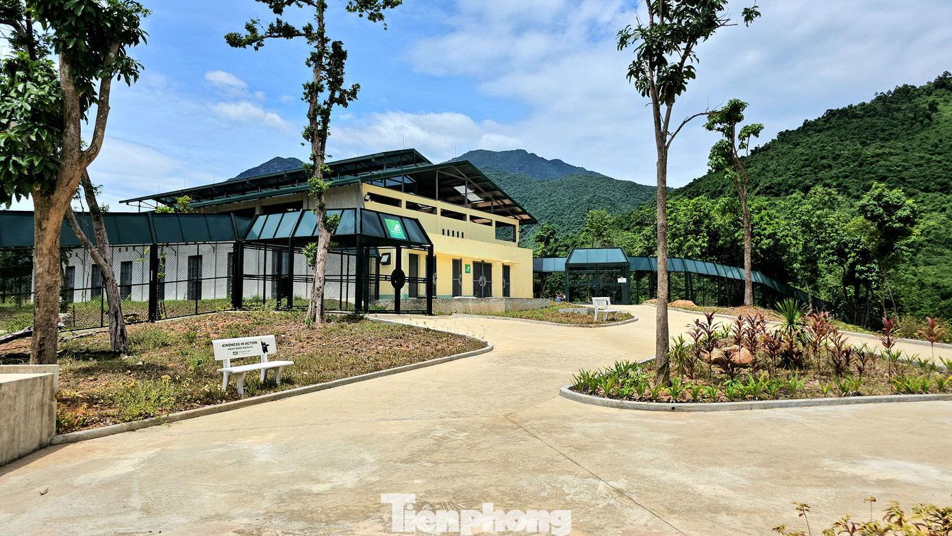 Trung tâm được trang bị cơ sở hạ tầng hiện đại và đội ngũ chuyên môn giàu kinh nghiệm, với quy mô tiếp nhận, nuôi dưỡng lên tới hơn 120 cá thể gấu trong các khu bán tự nhiên lớn. Tuy nhiên, sau gần 2 năm hoạt động, trung tâm mới chỉ nuôi dưỡng 8 cá thể gấu do người dân tự nguyện chuyển giao. Trung tâm được trang bị cơ sở hạ tầng hiện đại và đội ngũ chuyên môn giàu kinh nghiệm, với quy mô tiếp nhận, nuôi dưỡng lên tới hơn 120 cá thể gấu trong các khu bán tự nhiên lớn. Tuy nhiên, sau gần 2 năm hoạt động, trung tâm mới chỉ nuôi dưỡng 8 cá thể gấu do người dân tự nguyện chuyển giao.