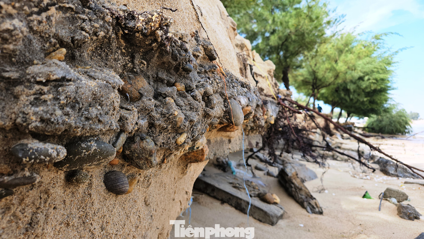 Theo ông Nguyễn Quang Dân, mùa hè năm nay (từ tháng 6 đến 9/2024), nước biển đã xâm thực ăn sâu vào đất liền của xã khoảng 70 m, với chiều dài khoảng 300 m (chưa kể tình trạng sạt lở ở địa phận phường Thuận An).