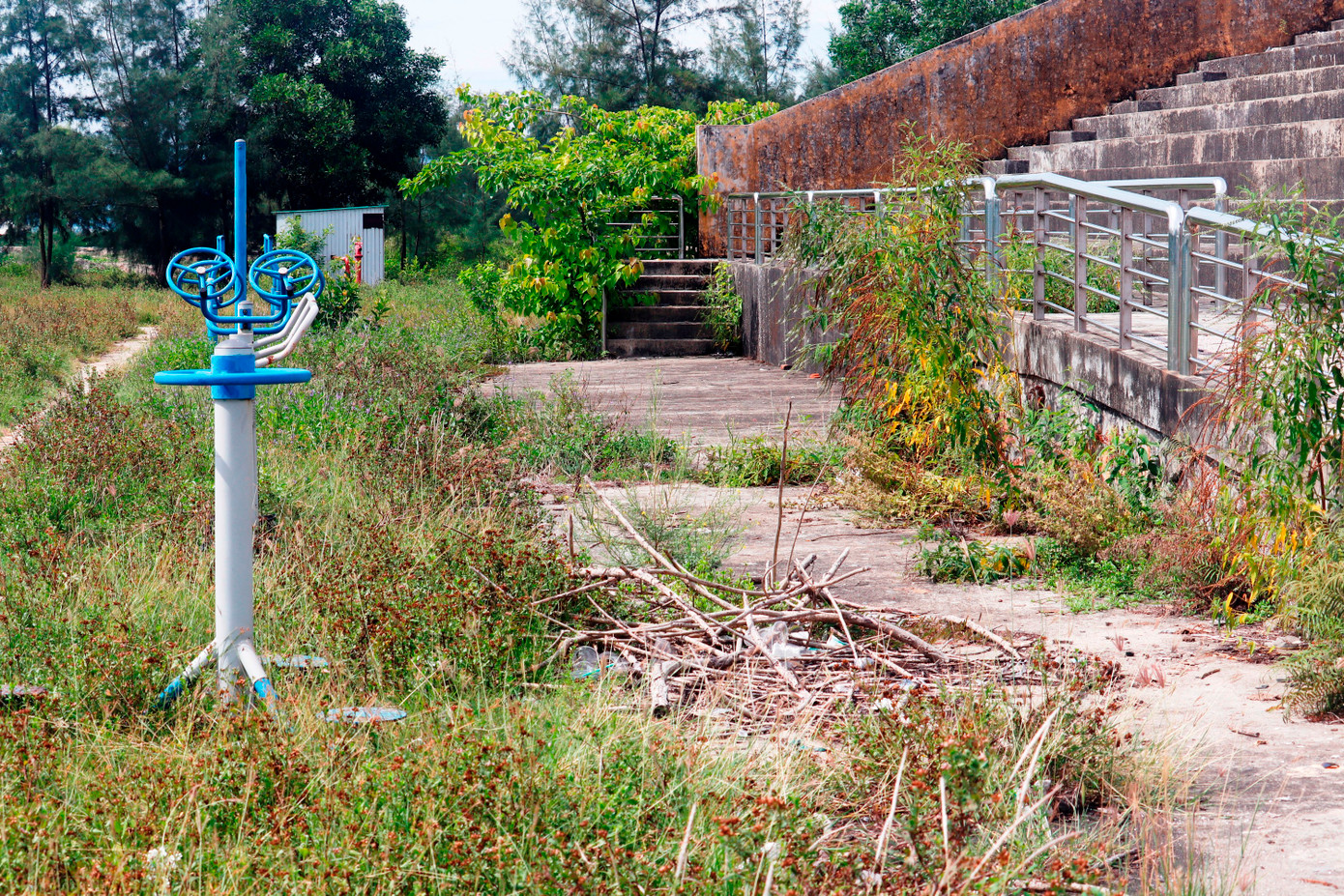 Các hạng mục nhà chức năng bị bỏ hoang, dụng cụ thể dục ngoài trời phủ đầy cỏ hoang, khán đài đầy rác thải và cây dại.