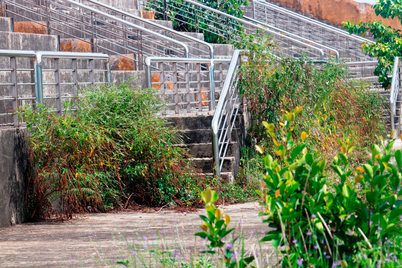 Các hạng mục nhà chức năng bị bỏ hoang, dụng cụ thể dục ngoài trời phủ đầy cỏ hoang, khán đài đầy rác thải và cây dại.