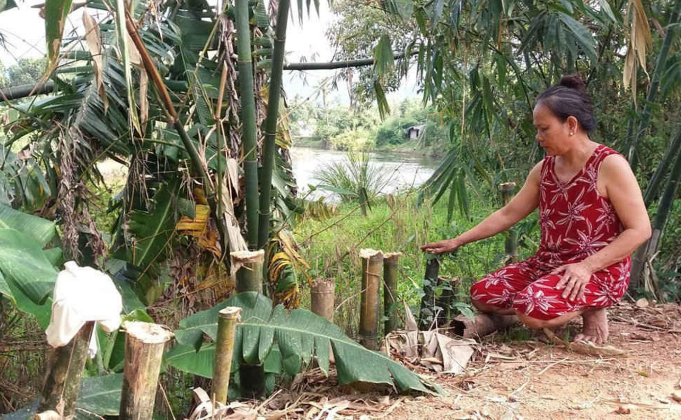 Người dân tự đóng cừ tre để hạn chế sạt lở bờ sông ăn sâu vào bên trong.