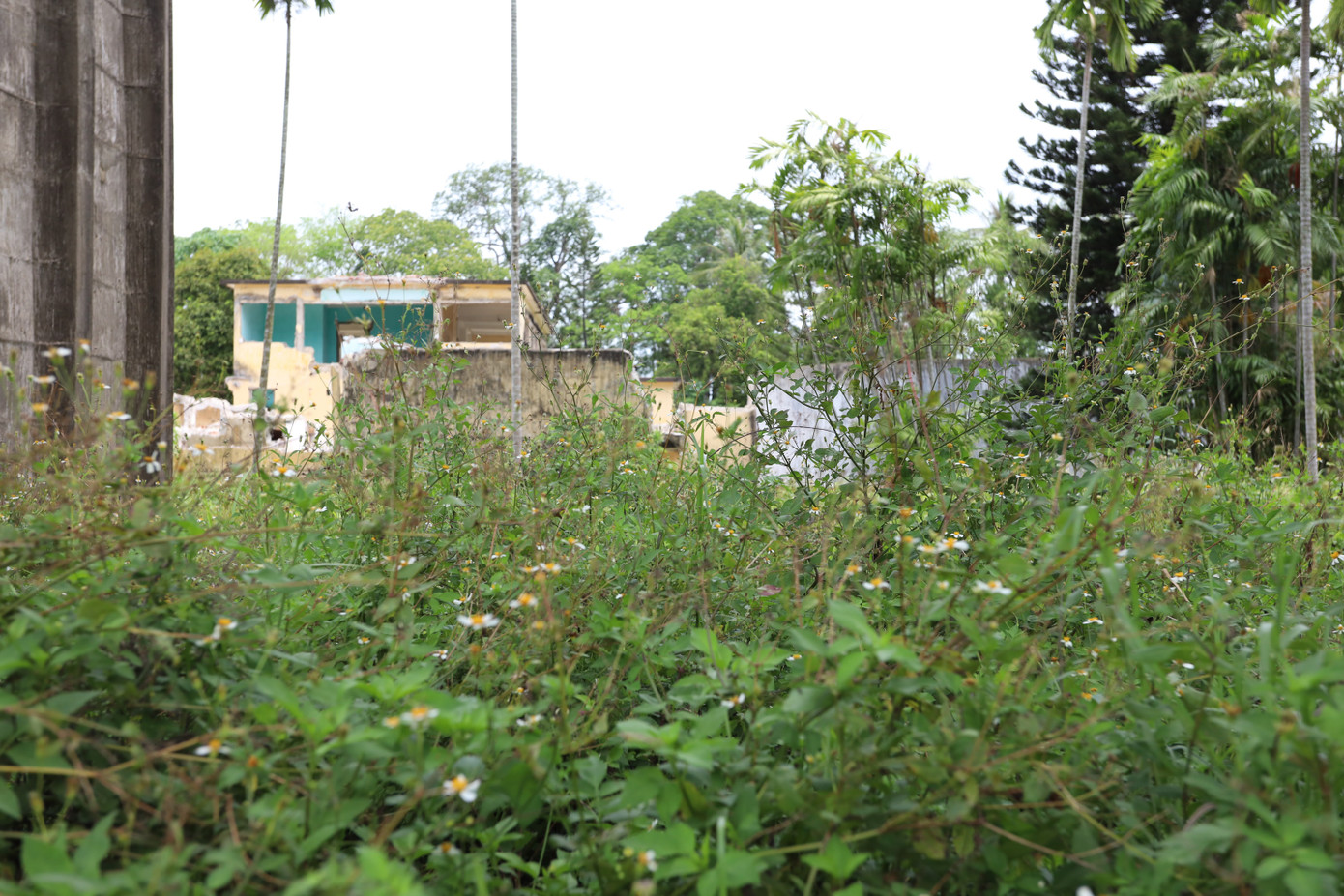 Ghi nhận hiện trường cho thấy, nhiều hạng mục thi công của những năm trước hiện vẫn còn dang dở, bị bỏ hoang, cỏ dại mọc um tùm, vật liệu xây dựng ngổn ngang, lối đi bị che khuất, một số đoạn đường dạo lát đá granite chưa thể hoàn thiện.