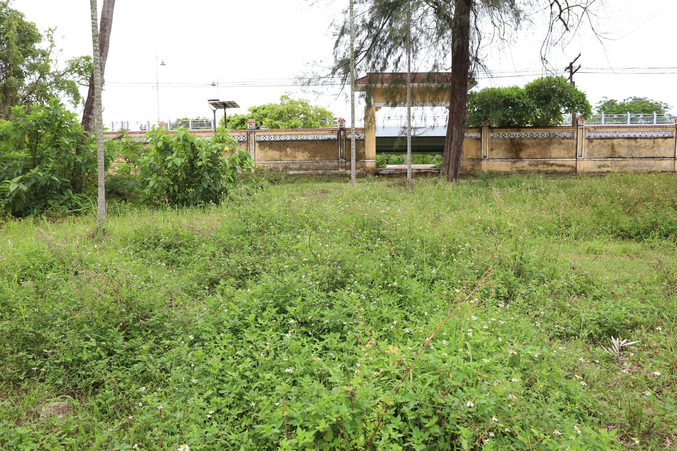 Ghi nhận hiện trường cho thấy, nhiều hạng mục thi công của những năm trước hiện vẫn còn dang dở, bị bỏ hoang, cỏ dại mọc um tùm, vật liệu xây dựng ngổn ngang, lối đi bị che khuất, một số đoạn đường dạo lát đá granite chưa thể hoàn thiện.