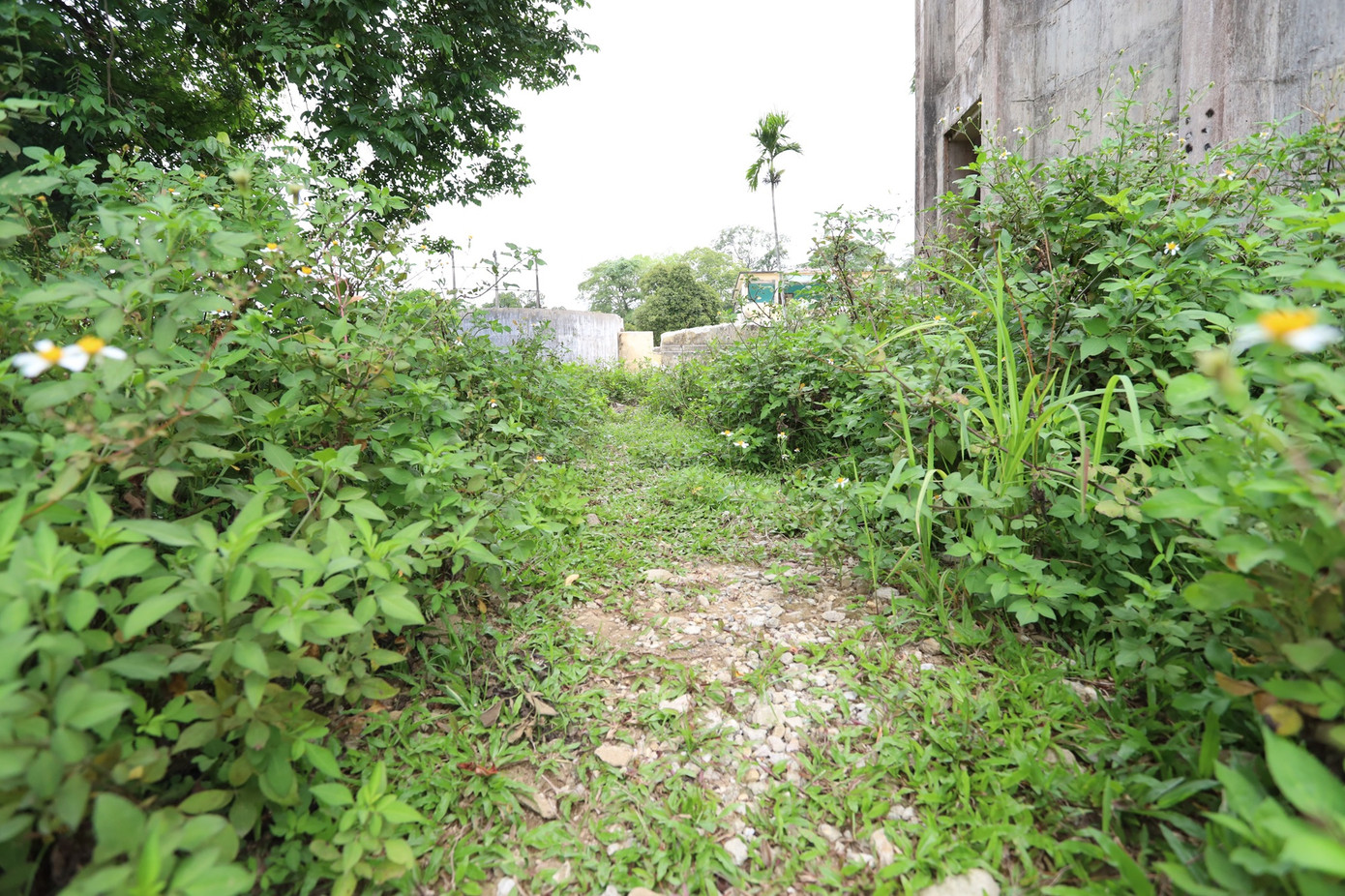 Ghi nhận hiện trường cho thấy, nhiều hạng mục thi công của những năm trước hiện vẫn còn dang dở, bị bỏ hoang, cỏ dại mọc um tùm, vật liệu xây dựng ngổn ngang, lối đi bị che khuất, một số đoạn đường dạo lát đá granite chưa thể hoàn thiện.