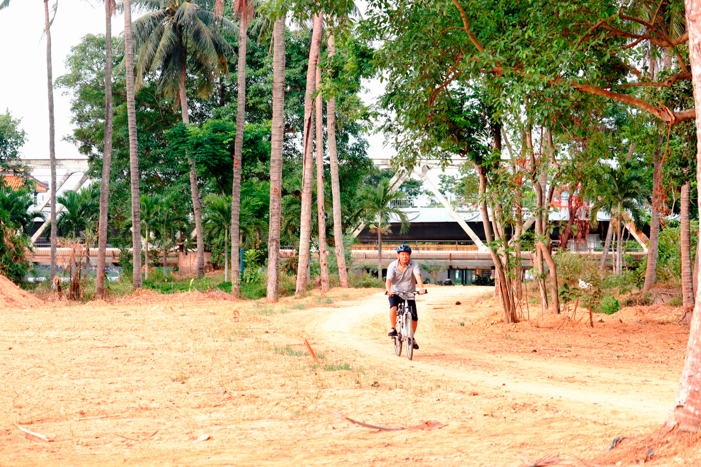 Hệ thống đường dạo được nối thông từ khu vực phía đông sang phía tây cồn Dã Viên từ cả hai phía giáp bờ sông Hương về phía bắc và phía nam. Hệ thống đường dạo được nối thông từ khu vực phía đông sang phía tây cồn Dã Viên từ cả hai phía giáp bờ sông Hương về phía bắc và phía nam.