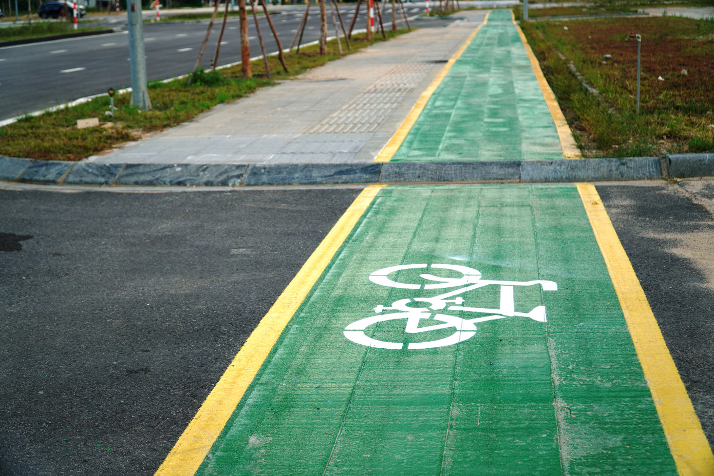 Theo ông Võ Văn Việt - Giám đốc Ban Quản lý Dự án Green City Huế, những tuyến vỉa hè được sơn xanh tập trung chủ yếu ở các con phố Võ Nguyên Giáp, Tố Hữu (phường An Đông, Xuân Phú), đường Bùi Thị Xuân, công viên trung tâm hành chính tỉnh, với tổng chiều dài gần 8.000m. Việc sơn xanh, kẻ vạch vàng nhằm đánh dấu làn tuyến dành riêng cho xe đạp khi lưu thông trên vỉa hè. Theo ông Võ Văn Việt - Giám đốc Ban Quản lý Dự án Green City Huế, những tuyến vỉa hè được sơn xanh tập trung chủ yếu ở các con phố Võ Nguyên Giáp, Tố Hữu (phường An Đông, Xuân Phú), đường Bùi Thị Xuân, công viên trung tâm hành chính tỉnh, với tổng chiều dài gần 8.000m. Việc sơn xanh, kẻ vạch vàng nhằm đánh dấu làn tuyến dành riêng cho xe đạp khi lưu thông trên vỉa hè.