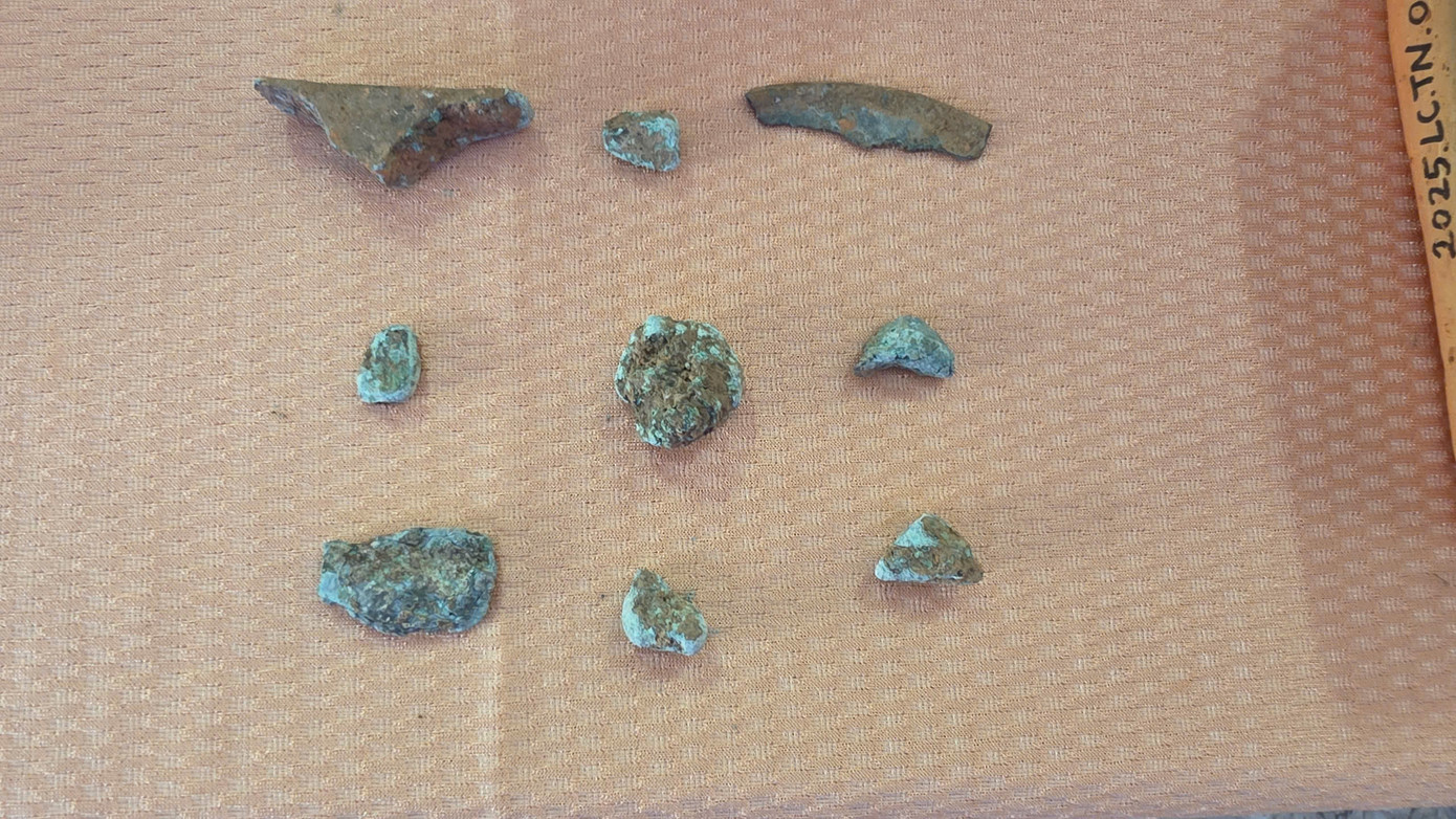 Phát hiện số lượng tiêu bản hiện vật đồ sộ lên tới hơn 9.000 mẫu.