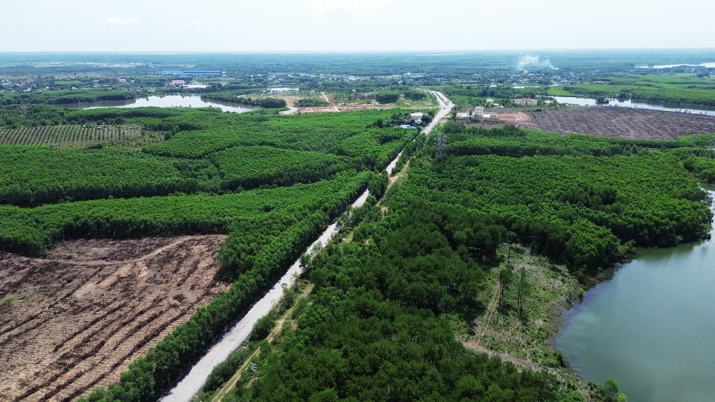 Tỉnh lộ 9 qua phường Phong Điền (TP Huế) có chiều dài khoảng 8km, bắt đầu từ Quốc lộ 1 và kết thúc tại nút giao cao tốc Cam Lộ - La Sơn thuộc địa phận xã Phong Xuân trước đây (huyện Phong Điền cũ). Tỉnh lộ 9 qua phường Phong Điền (TP Huế) có chiều dài khoảng 8km, bắt đầu từ Quốc lộ 1 và kết thúc tại nút giao cao tốc Cam Lộ - La Sơn thuộc địa phận xã Phong Xuân trước đây (huyện Phong Điền cũ).