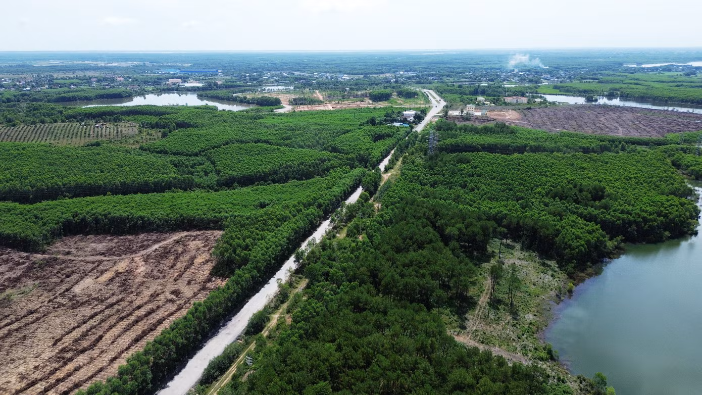 Tỉnh lộ 9 qua phường Phong Điền (TP Huế) có chiều dài khoảng 8km, bắt đầu từ Quốc lộ 1 và kết thúc tại nút giao cao tốc Cam Lộ - La Sơn thuộc địa phận xã Phong Xuân trước đây (huyện Phong Điền cũ). Tỉnh lộ 9 qua phường Phong Điền (TP Huế) có chiều dài khoảng 8km, bắt đầu từ Quốc lộ 1 và kết thúc tại nút giao cao tốc Cam Lộ - La Sơn thuộc địa phận xã Phong Xuân trước đây (huyện Phong Điền cũ).