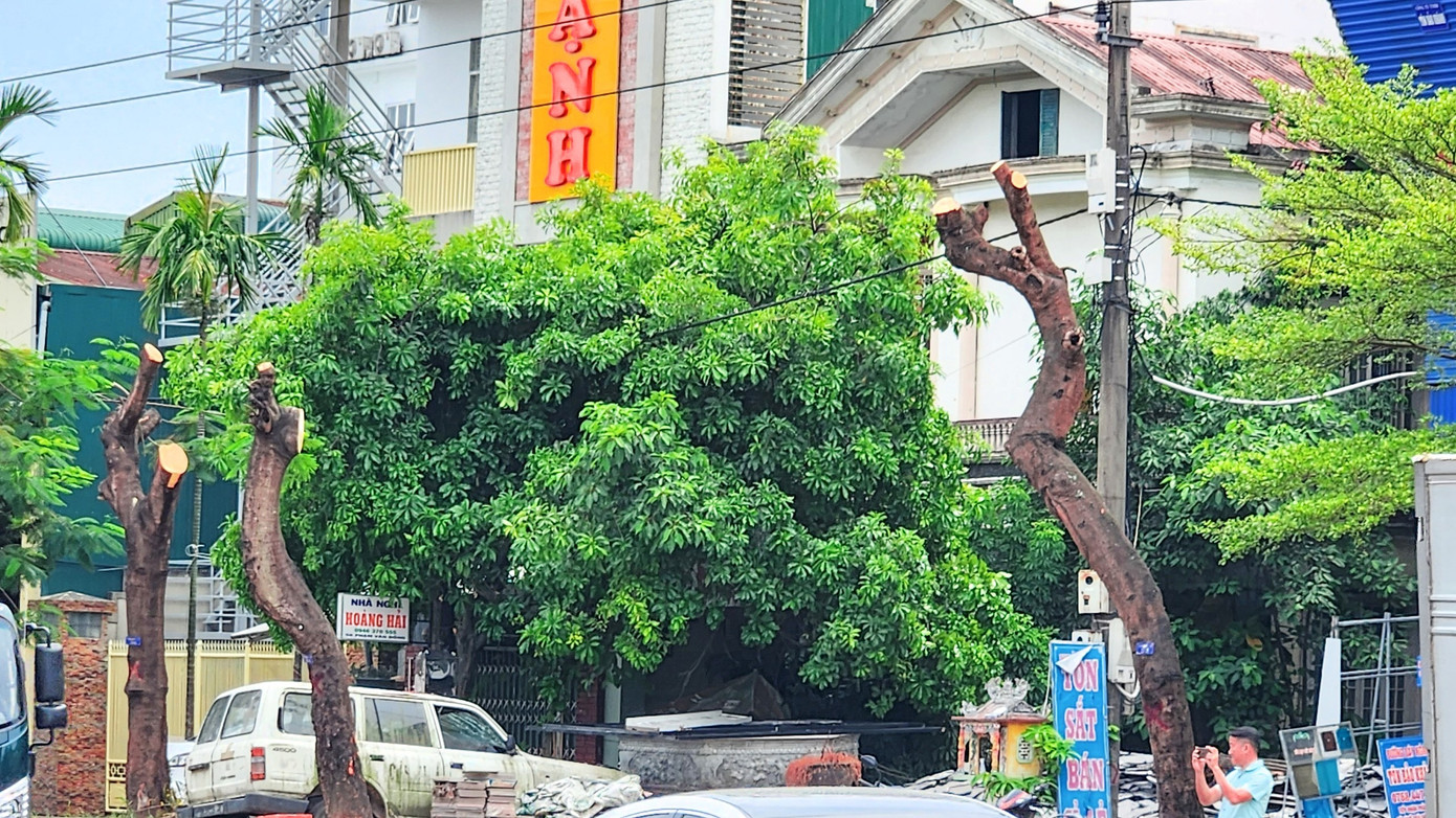 Đó còn là băn khoăn của những cư dân phường Vĩ Dạ, cũng như nhiều người khi lưu thông trên đường Phạm Văn Đồng và chứng kiến các mảng xanh dọc tuyến phố vốn có chức năng tạo cảnh quan, bóng mát, giờ chỉ còn là những thân, cành cây trơ trụi giữa nắng nóng như thiêu đốt ban trưa tháng 6 xứ Huế. Ảnh: Ngọc Văn