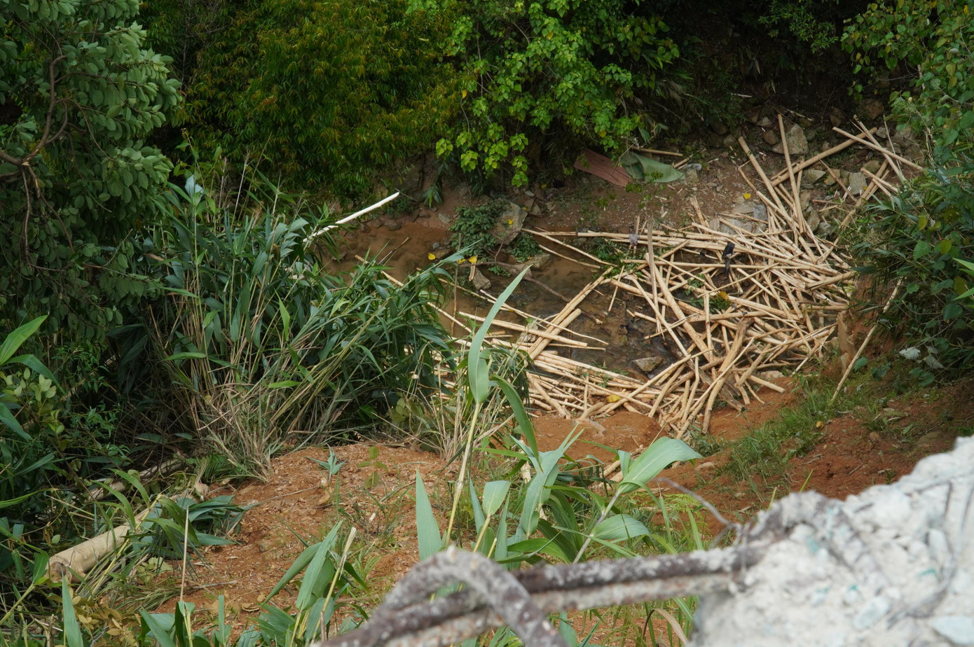 Cây gỗ keo tràm còn nằm lại vương vãi dưới vực sâu Cây gỗ keo tràm còn nằm lại vương vãi dưới vực sâu