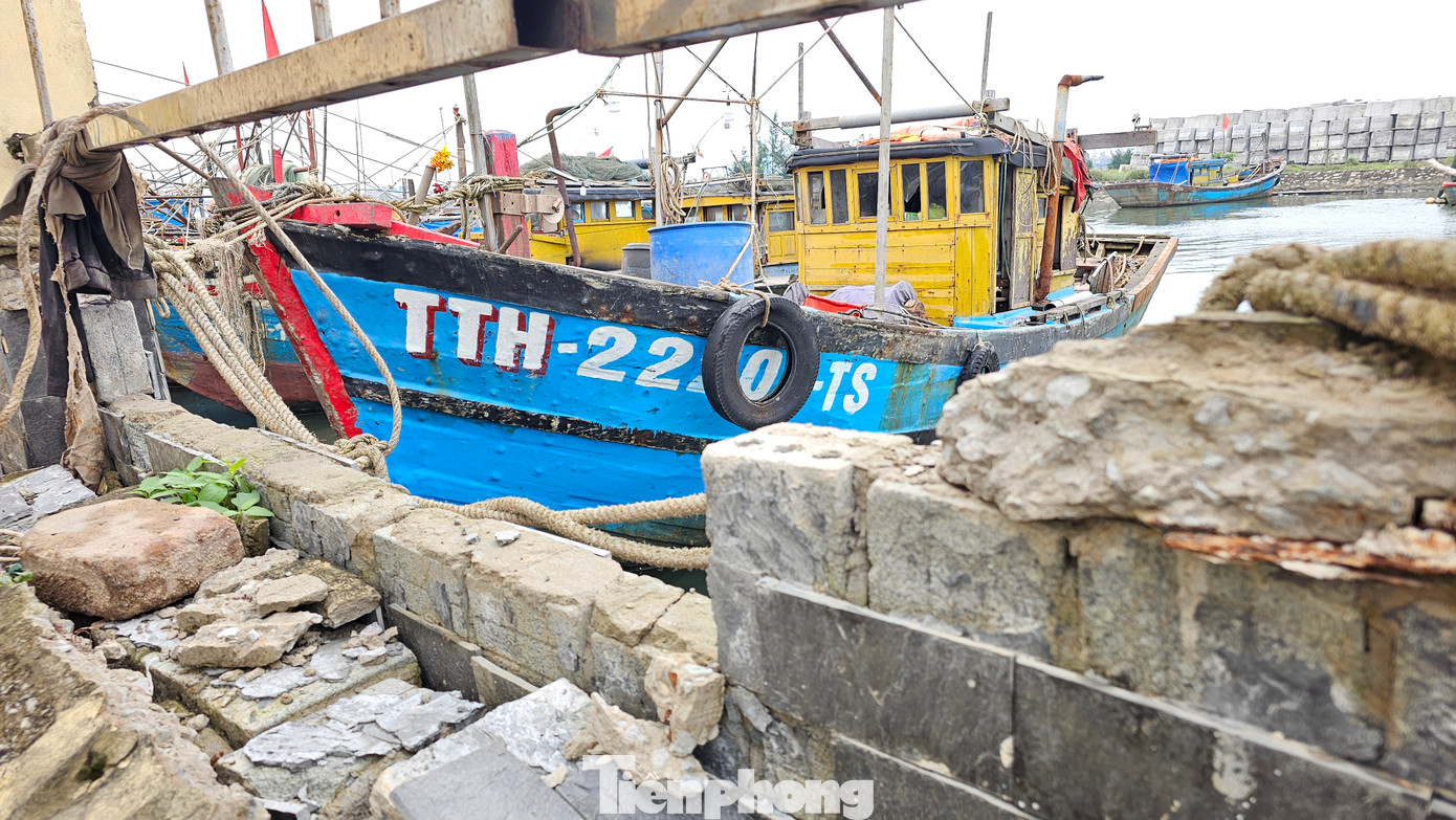 Đáng chú ý là hệ thống hàng rào dài gần 500 mét bảo vệ khu cảng cá lớn nhất TP Huế trị giá hơn 200 tỷ này vừa đưa vào sử dụng chưa lâu đã bị hư hỏng tại nhiều vị trí, có dấu hiệu bị phá hoại.