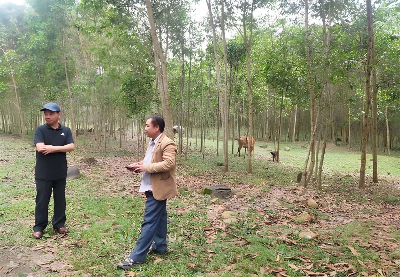 Kiểm tra tiến độ thực hiện dự án bố trí ổn định dân cư thuộc Dự án 2 - Chương trình MTQG 1719 tại xã Thượng Long, huyện Nam Đông, tỉnh TT-Huế. Ảnh: CTV