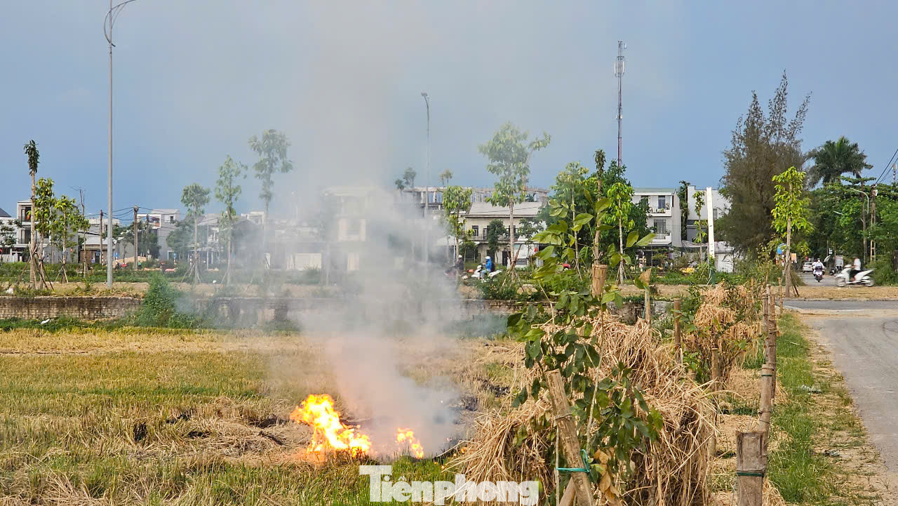 Những ngày qua, cứ vào buổi trưa hoặc chiều tối, tại nhiều cánh đồng tại phường An Đông, Thủy Vân (quận Thuận Hóa, TP Huế) hay xã Thủy Thanh (thị xã Hương Thủy), Phú Mỹ (huyện Phú Vang), phường Hương Chữ (thị xã Hương Trà)… lại xảy ra vấn nạn đốt rơm rạ sau thu hoạch lúa. Những lớp khói dày đặc không chỉ bao phủ không gian đồng ruộng, mà còn lan vào đường phố, khu dân cư và cả những khu đô thị cao cấp giữa trung tâm Huế, gây ô nhiễm môi trường, ảnh hưởng an toàn đi lại. Những ngày qua, cứ vào buổi trưa hoặc chiều tối, tại nhiều cánh đồng tại phường An Đông, Thủy Vân (quận Thuận Hóa, TP Huế) hay xã Thủy Thanh (thị xã Hương Thủy), Phú Mỹ (huyện Phú Vang), phường Hương Chữ (thị xã Hương Trà)… lại xảy ra vấn nạn đốt rơm rạ sau thu hoạch lúa. Những lớp khói dày đặc không chỉ bao phủ không gian đồng ruộng, mà còn lan vào đường phố, khu dân cư và cả những khu đô thị cao cấp giữa trung tâm Huế, gây ô nhiễm môi trường, ảnh hưởng an toàn đi lại.