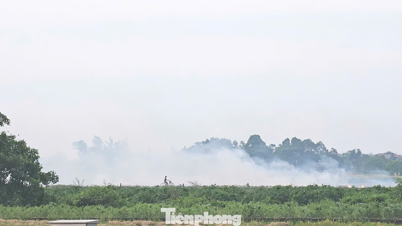 Những ngày qua, cứ vào buổi trưa hoặc chiều tối, tại nhiều cánh đồng tại phường An Đông, Thủy Vân (quận Thuận Hóa, TP Huế) hay xã Thủy Thanh (thị xã Hương Thủy), Phú Mỹ (huyện Phú Vang), phường Hương Chữ (thị xã Hương Trà)… lại xảy ra vấn nạn đốt rơm rạ sau thu hoạch lúa. Những lớp khói dày đặc không chỉ bao phủ không gian đồng ruộng, mà còn lan vào đường phố, khu dân cư và cả những khu đô thị cao cấp giữa trung tâm Huế, gây ô nhiễm môi trường, ảnh hưởng an toàn đi lại. Những ngày qua, cứ vào buổi trưa hoặc chiều tối, tại nhiều cánh đồng tại phường An Đông, Thủy Vân (quận Thuận Hóa, TP Huế) hay xã Thủy Thanh (thị xã Hương Thủy), Phú Mỹ (huyện Phú Vang), phường Hương Chữ (thị xã Hương Trà)… lại xảy ra vấn nạn đốt rơm rạ sau thu hoạch lúa. Những lớp khói dày đặc không chỉ bao phủ không gian đồng ruộng, mà còn lan vào đường phố, khu dân cư và cả những khu đô thị cao cấp giữa trung tâm Huế, gây ô nhiễm môi trường, ảnh hưởng an toàn đi lại.