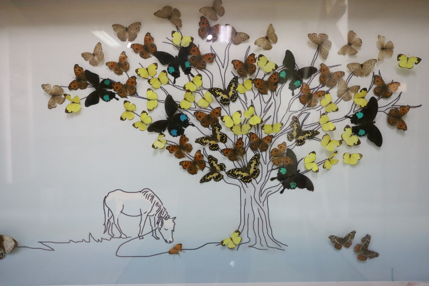 Bộ mẫu bướm nhân nuôi, với gần 2.000 mẫu bướm rực rỡ, thể hiện sự đa dạng sinh học. Bộ mẫu bướm nhân nuôi, với gần 2.000 mẫu bướm rực rỡ, thể hiện sự đa dạng sinh học.