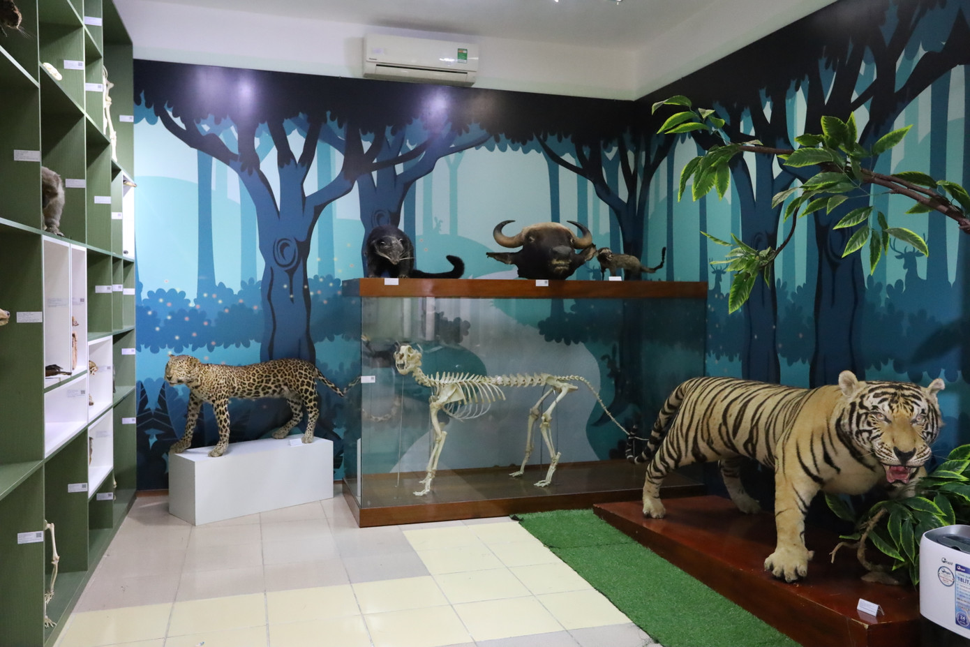 Bảo tàng Thiên nhiên Duyên hải miền Trung là một điểm đến đặc biệt, nơi lưu giữ và trưng bày những mẫu vật quý hiếm mang giá trị khoa học, lịch sử, đồng thời phục vụ nghiên cứu và giáo dục. Bảo tàng Thiên nhiên Duyên hải miền Trung là một điểm đến đặc biệt, nơi lưu giữ và trưng bày những mẫu vật quý hiếm mang giá trị khoa học, lịch sử, đồng thời phục vụ nghiên cứu và giáo dục.